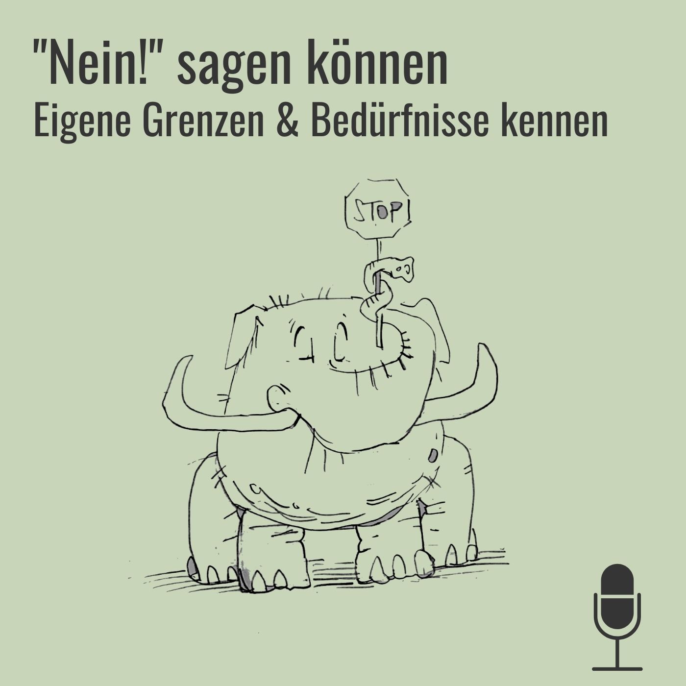 #37 Grenzen setzen & Nein sagen episode artwork