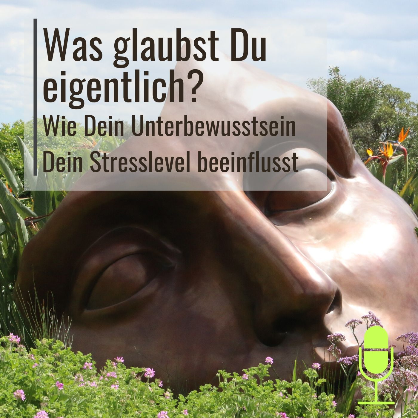 #16 Wie Glaubenssätze Deinen Stress beeinflussen episode artwork