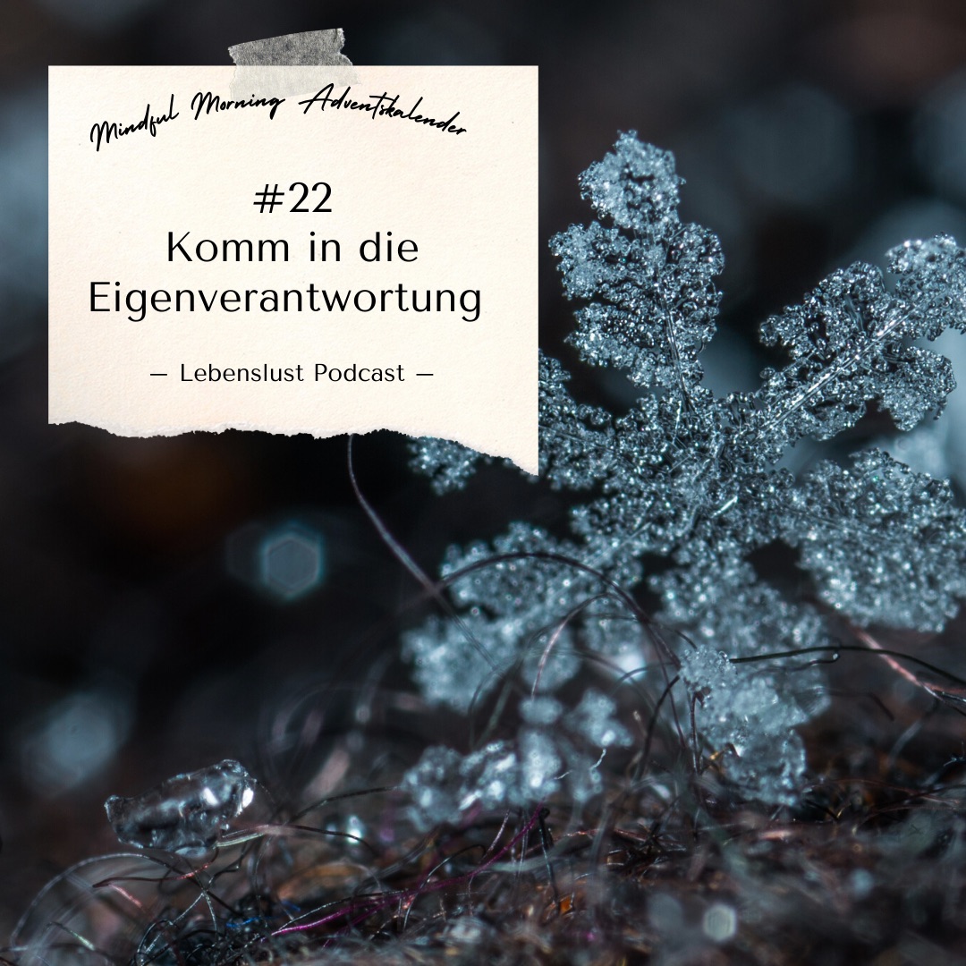 #113 - Adventskalender Türchen 22 episode artwork