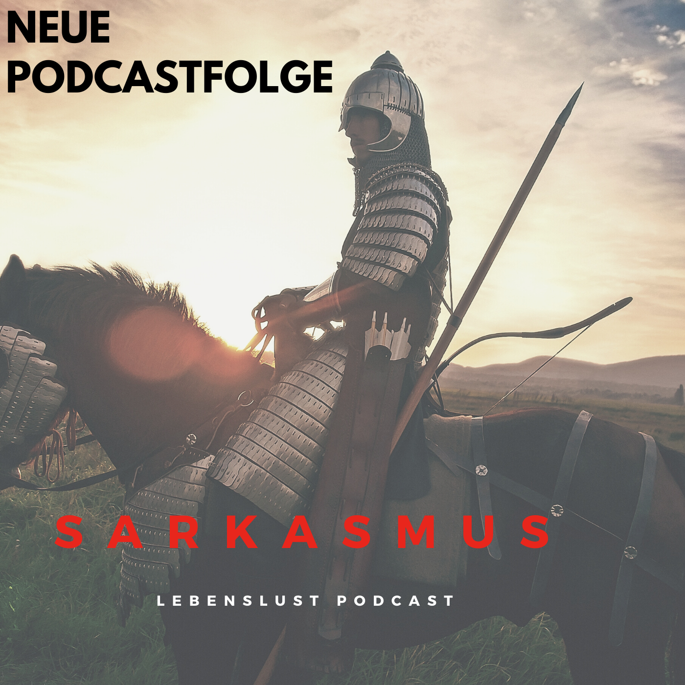 #9 - Sarkasmus episode artwork