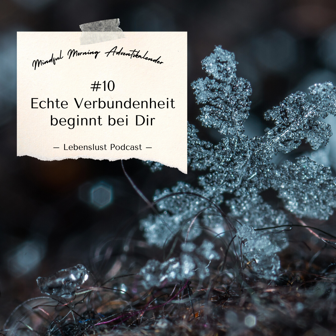 #101 - Adventskalender Türchen 10 episode artwork