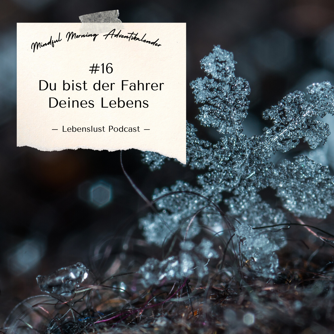 #107 - Adventskalender Türchen 16 episode artwork