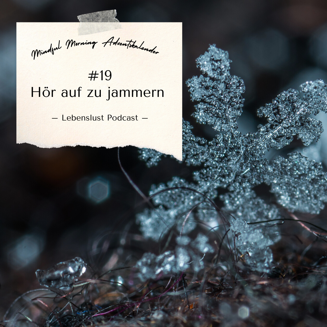 #110 - Adventskalender Türchen 19 episode artwork