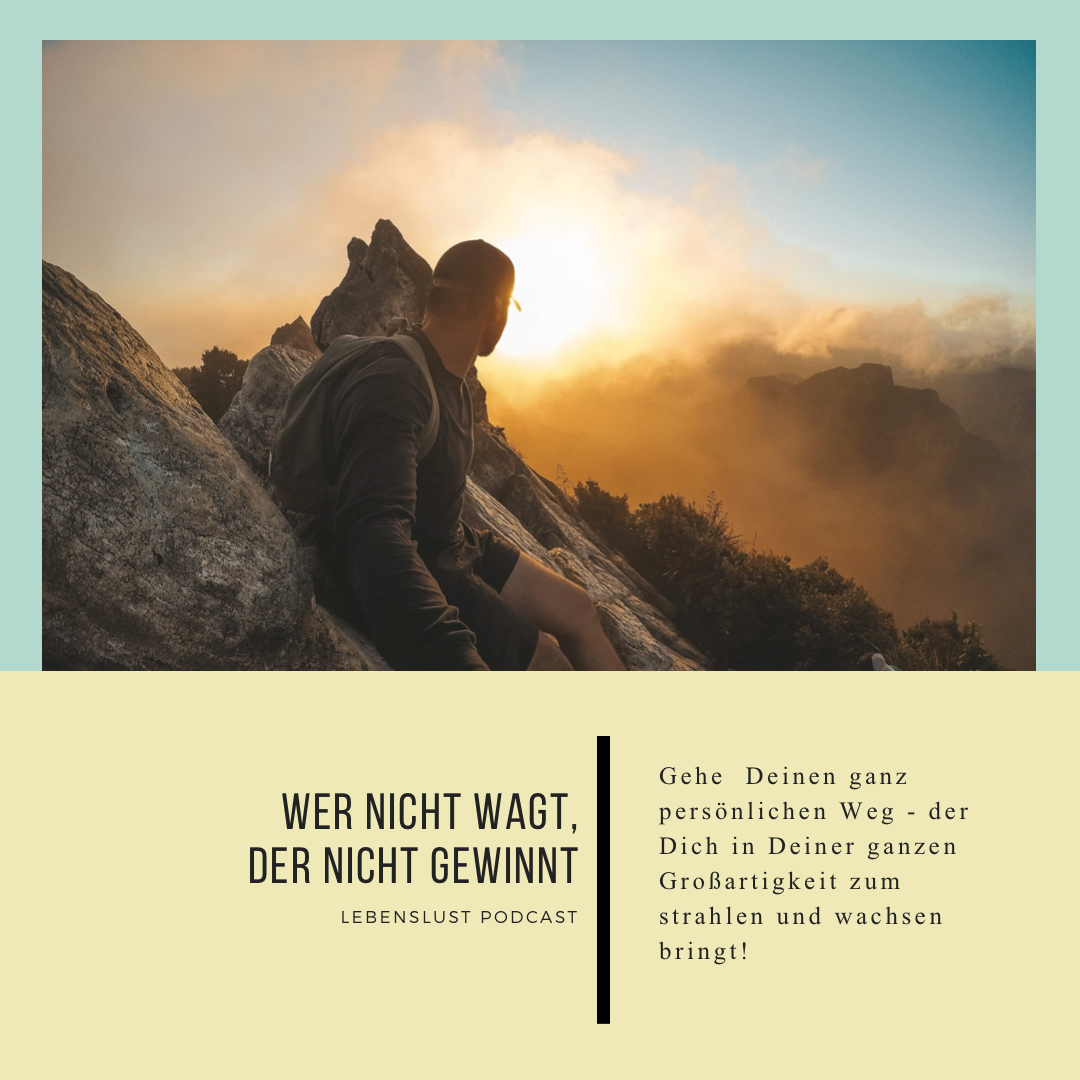 #49-Wer nicht wagt, der nicht gewinnt episode artwork