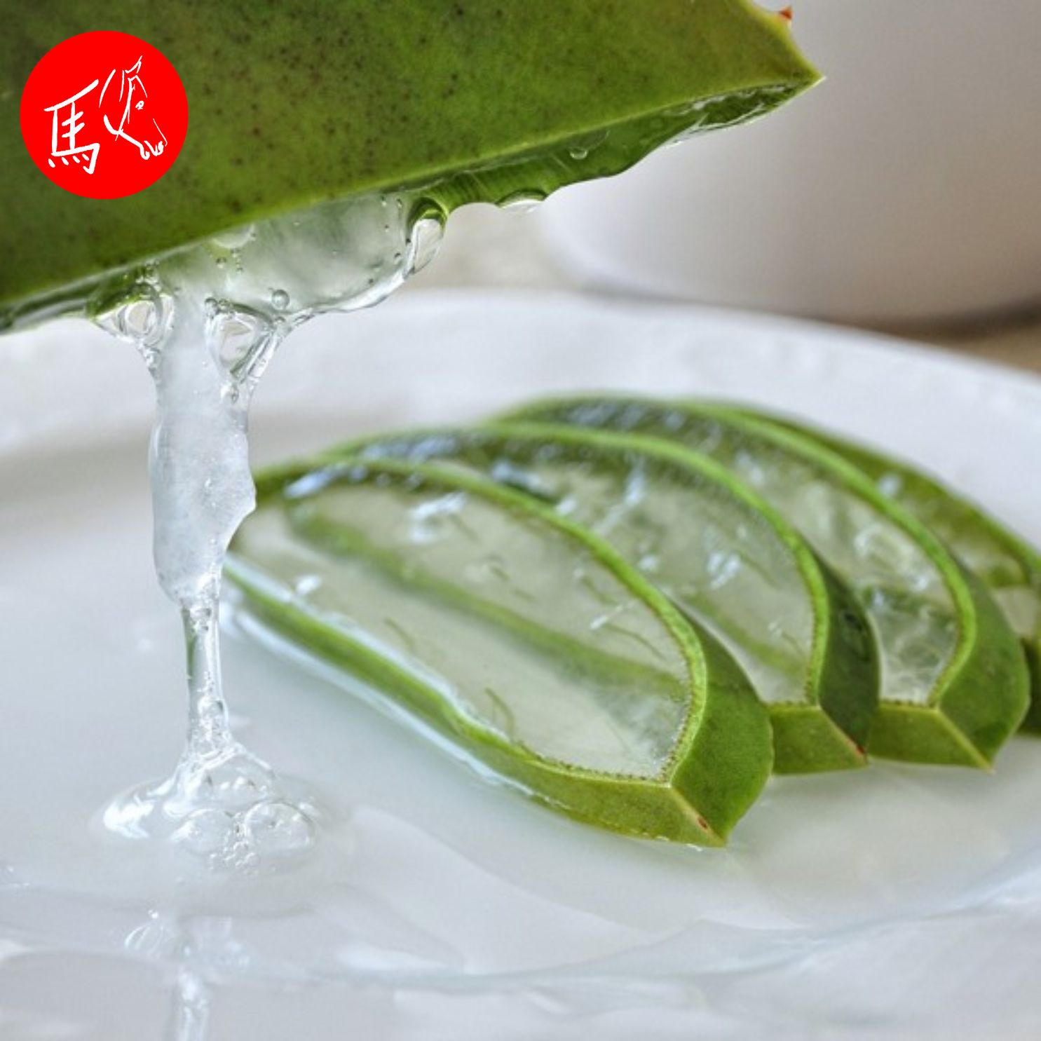 Aloe vera in der Tierheilpraxis episode artwork