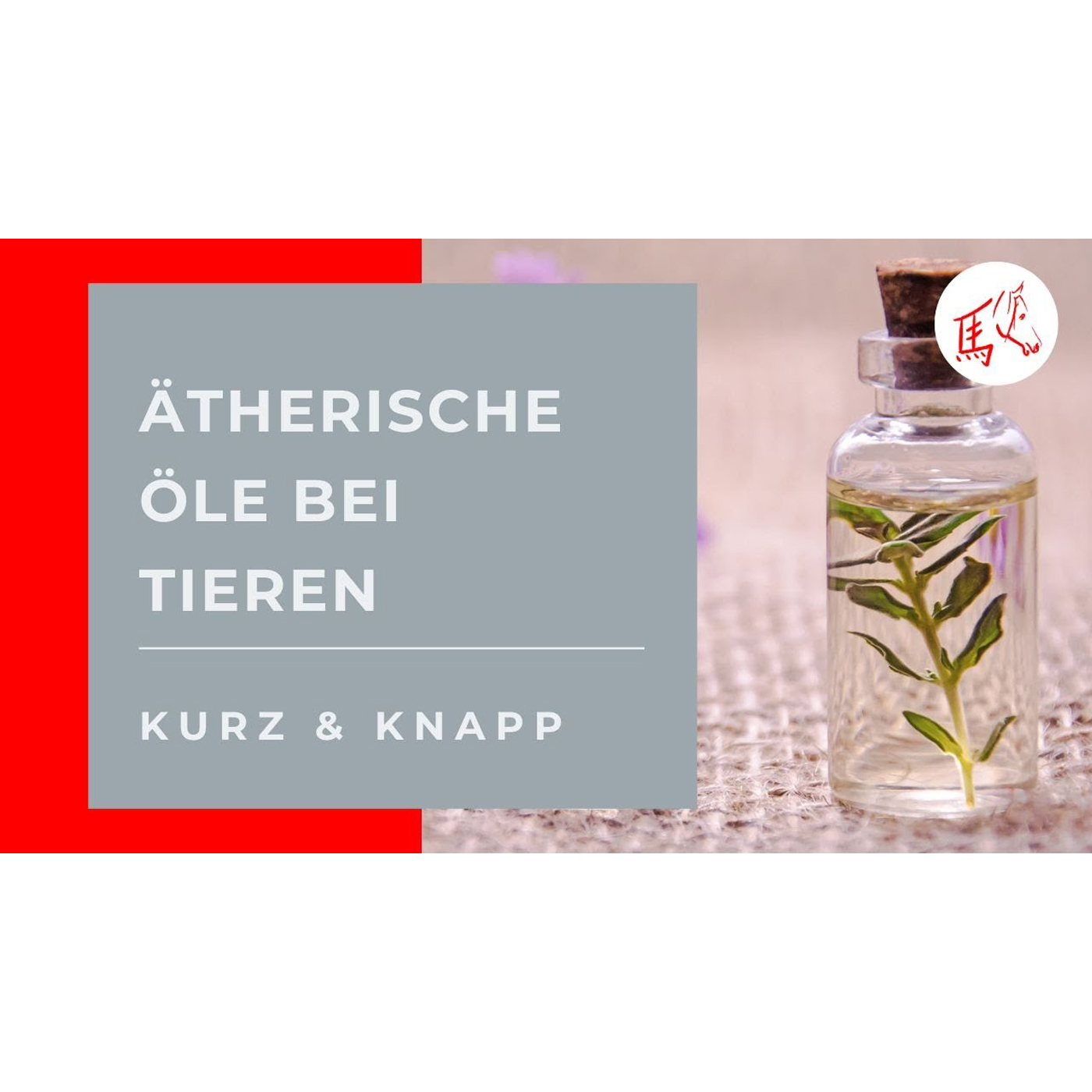 Kurz und knapp: Ätherische Öle bei Tieren