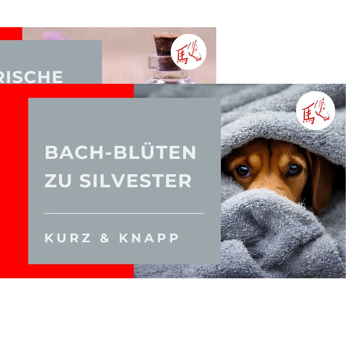 Kurz und knapp: Bach-Blüten zu Silvester