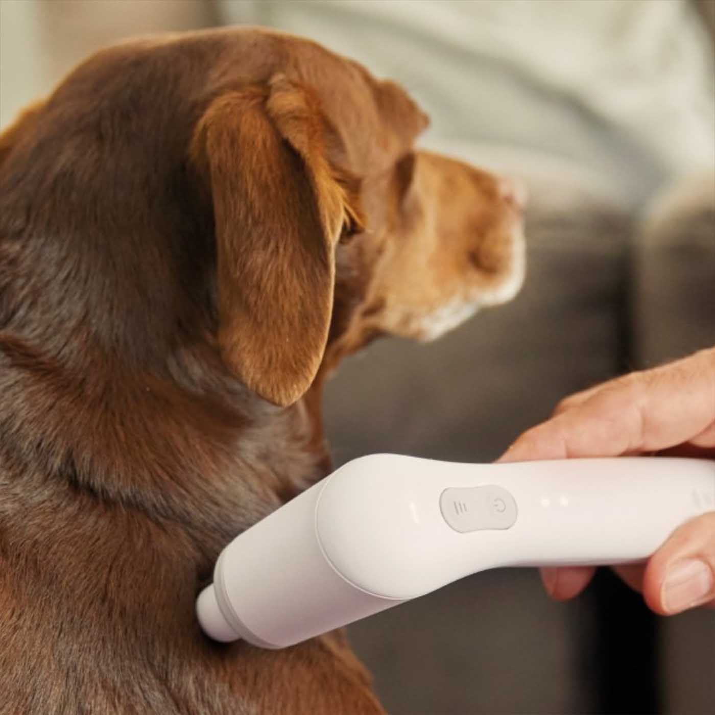 Das Novafon in der Tiergesundheit