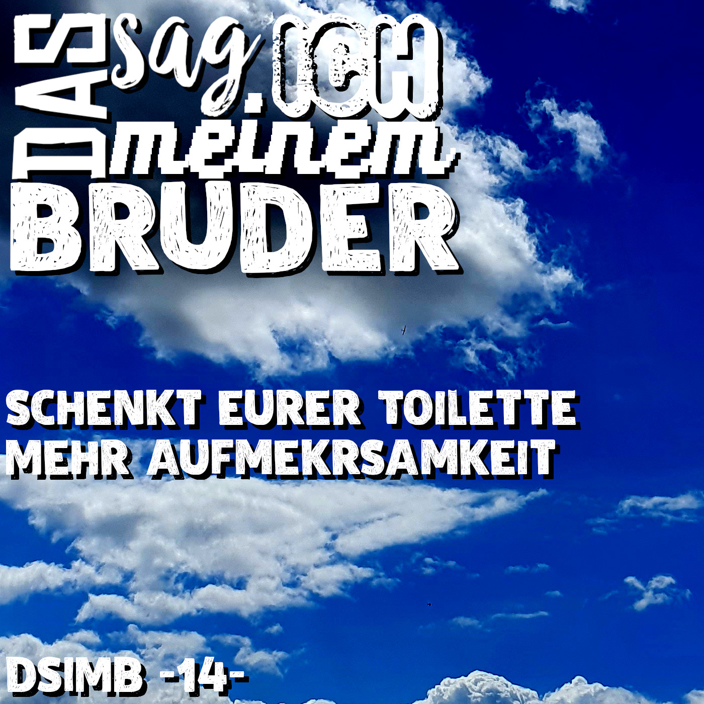 Schenkt eurer Toilette mehr Aufmerksamkeit DSIMB -14- episode artwork