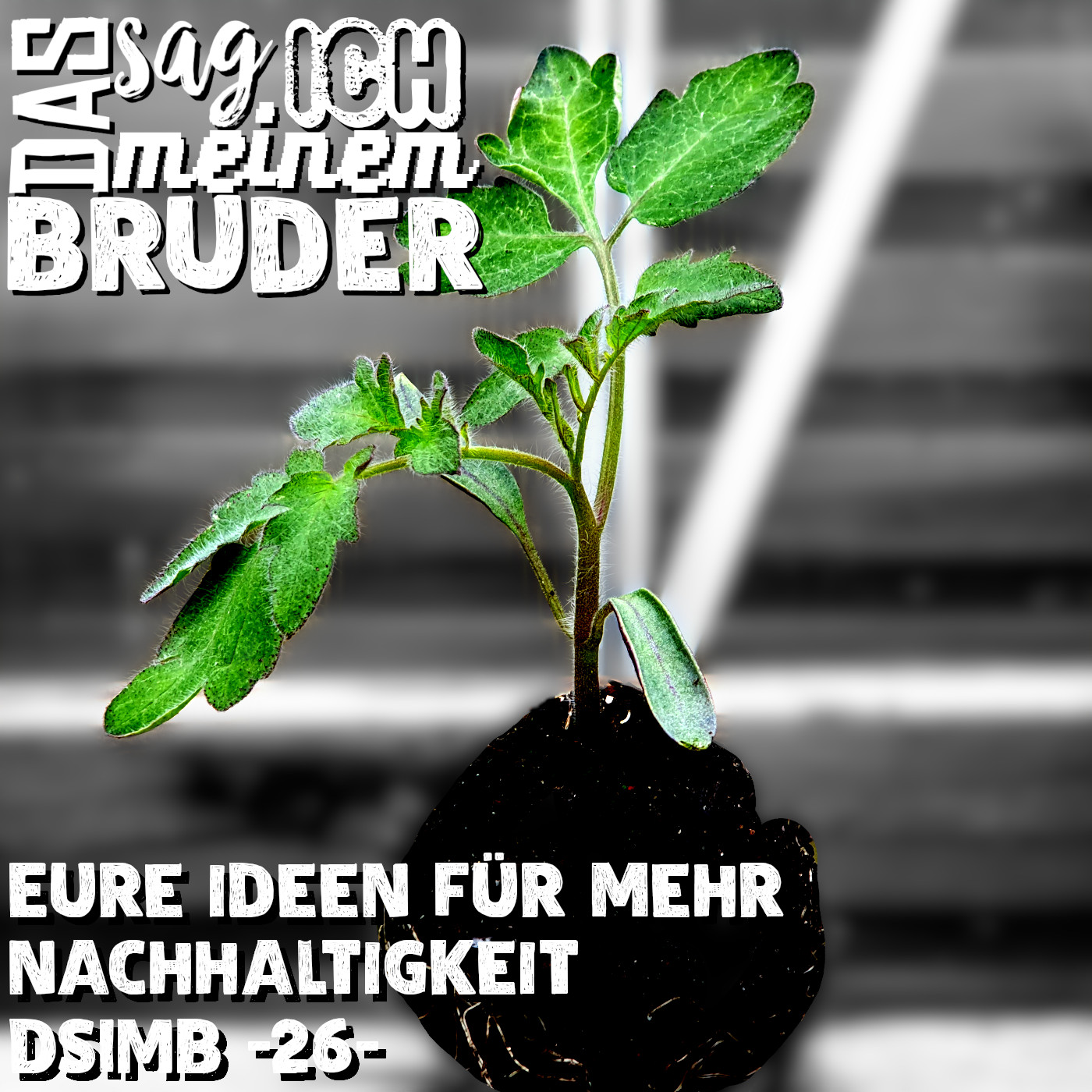 Eure Ideen für mehr Nachhaltigkeit DSIMB -26- episode artwork