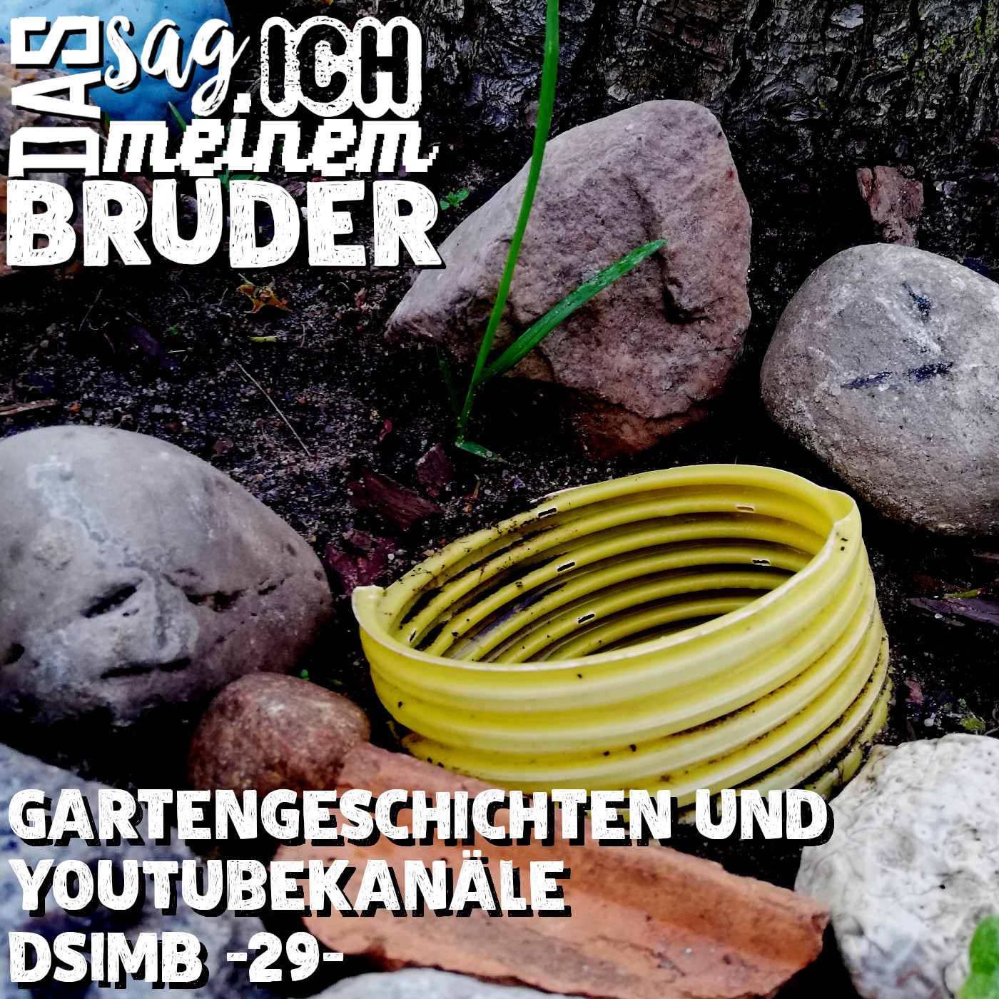 Gartengeschichten und YouTubeKanäle DSIMB -29- episode artwork