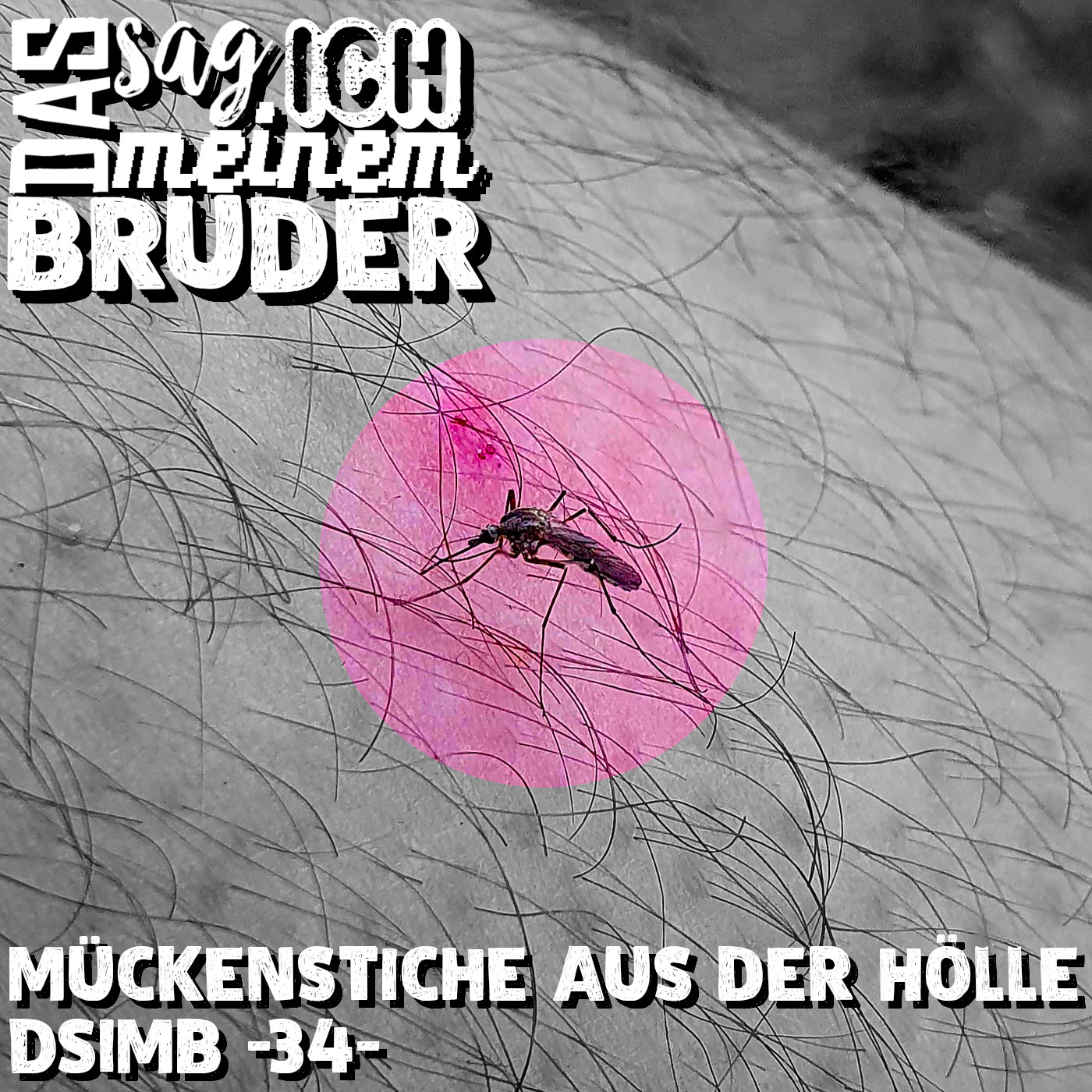 Mückenstiche aus der Hölle DSIMB -34- episode artwork