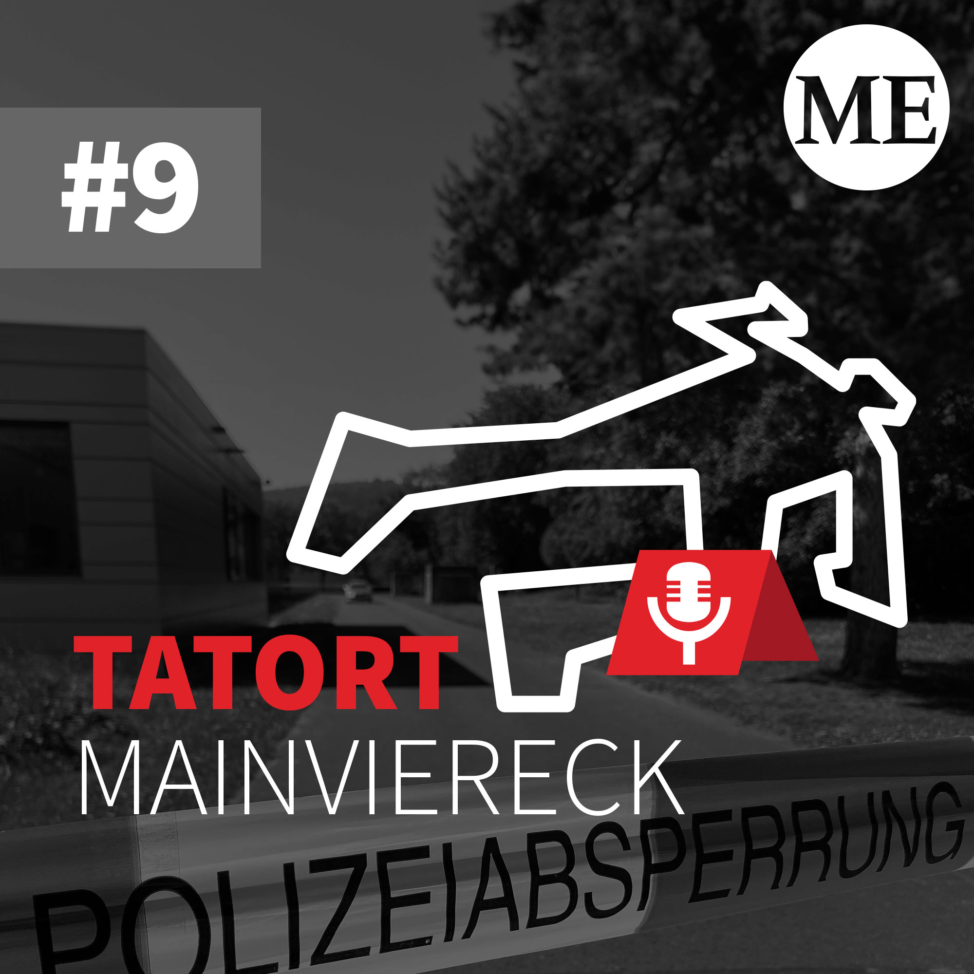Kopfschuss am Schulzentrum - ein 14-Jähriger stirbt in Lohr episode artwork
