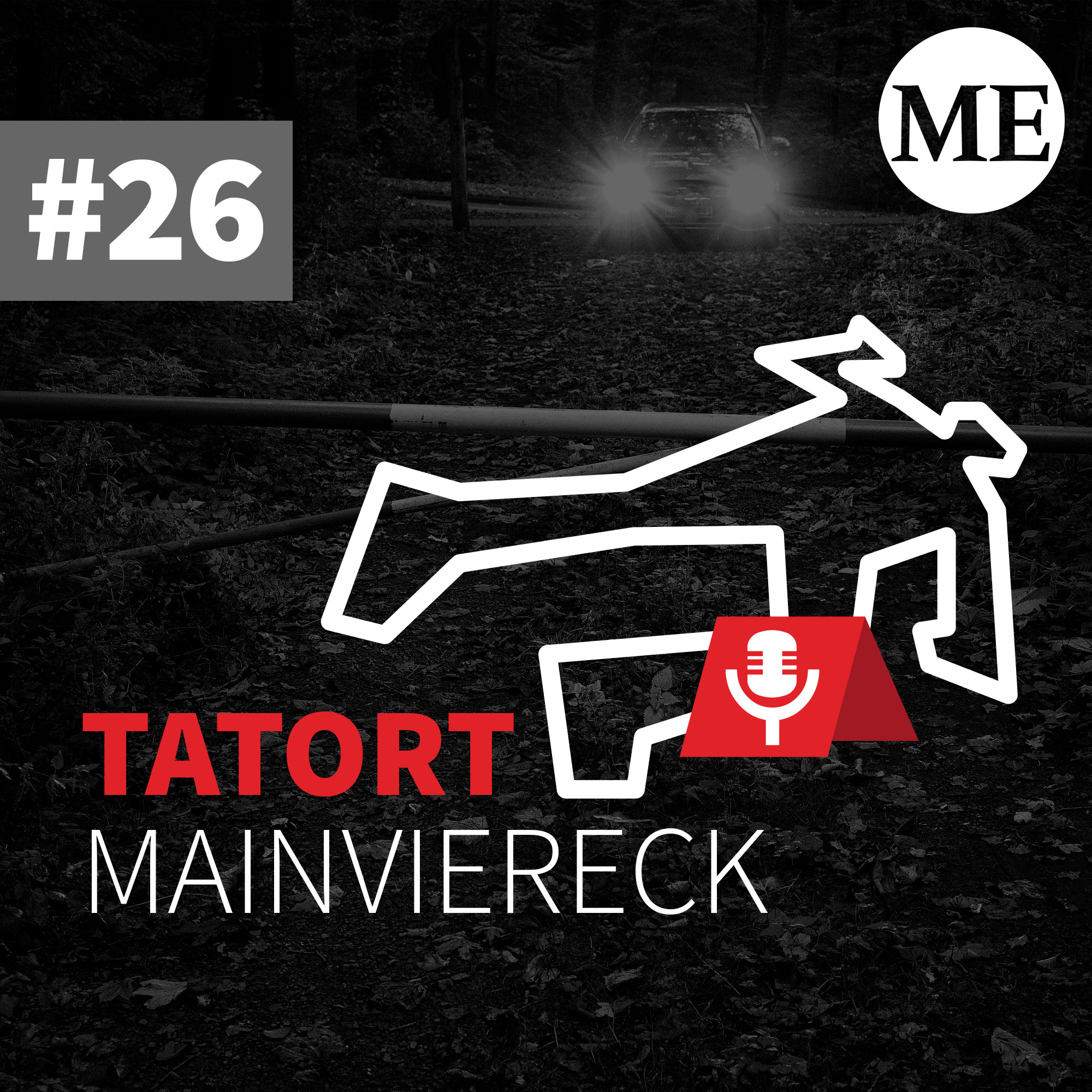 Tatort Hasenkopf - ein versuchter Mord in Aschaffenburg wird nach 30 Jahren aufgeklärt episode artwork