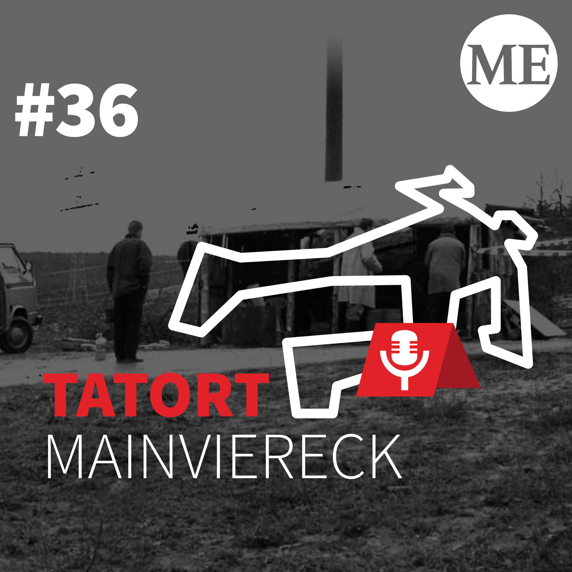 Tatort Wiesenfeld: Kein Ende im Mord-Fall Sabine B. episode artwork