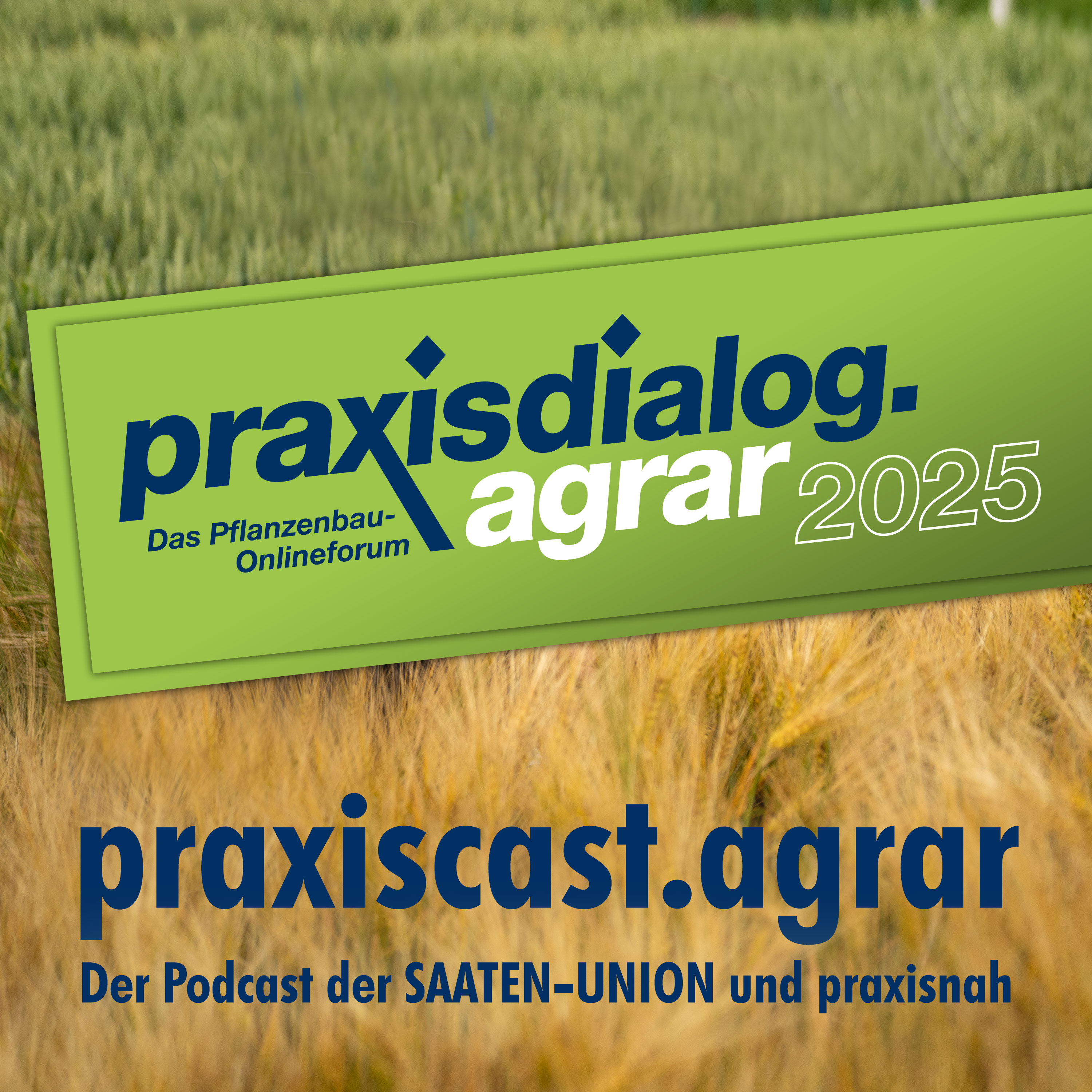 praxisdialog: Geringe Erträge und Qualitäten 2024 episode artwork