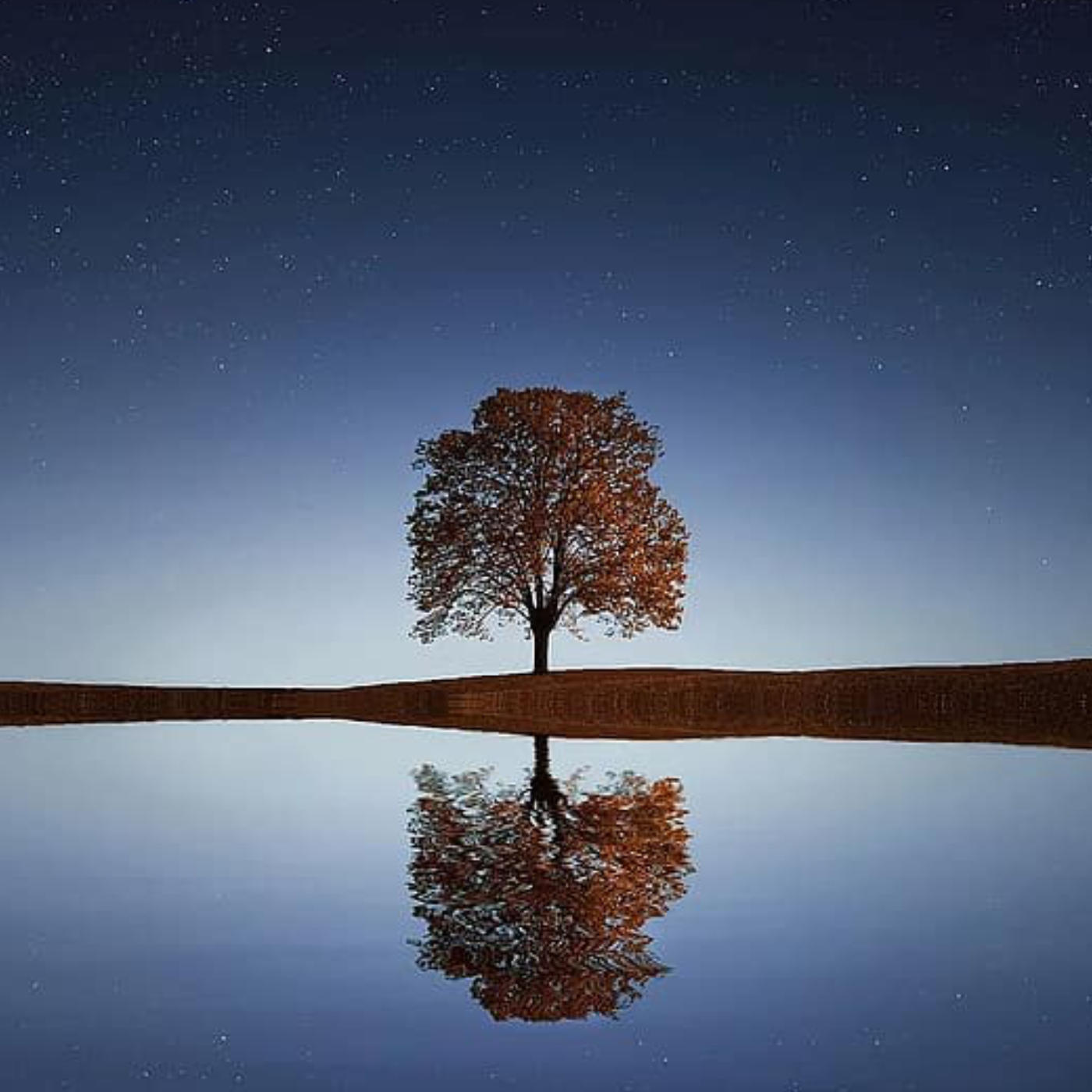 (ohne Musik) Fr, 11.07. Entspannt einschlafen - Nächtliche Ruhe