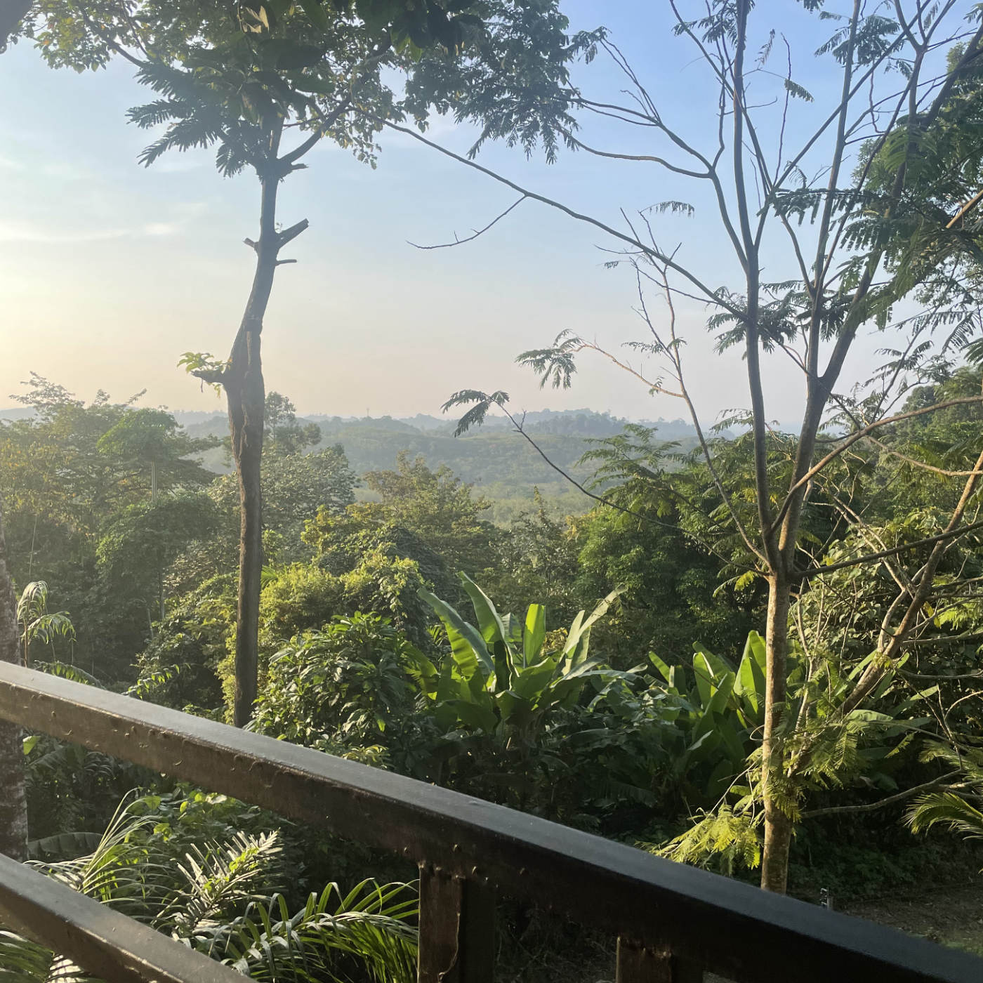 (ohne Musik) Entspannt einschlafen am Mittwoch, 08.01.25