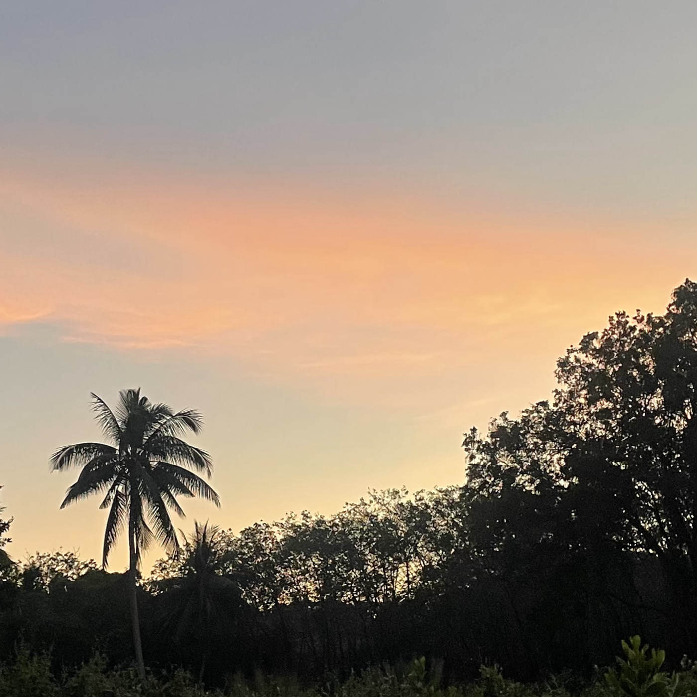 (ohne Musik) Entspannt einschlafen am Freitag, 10.01.25