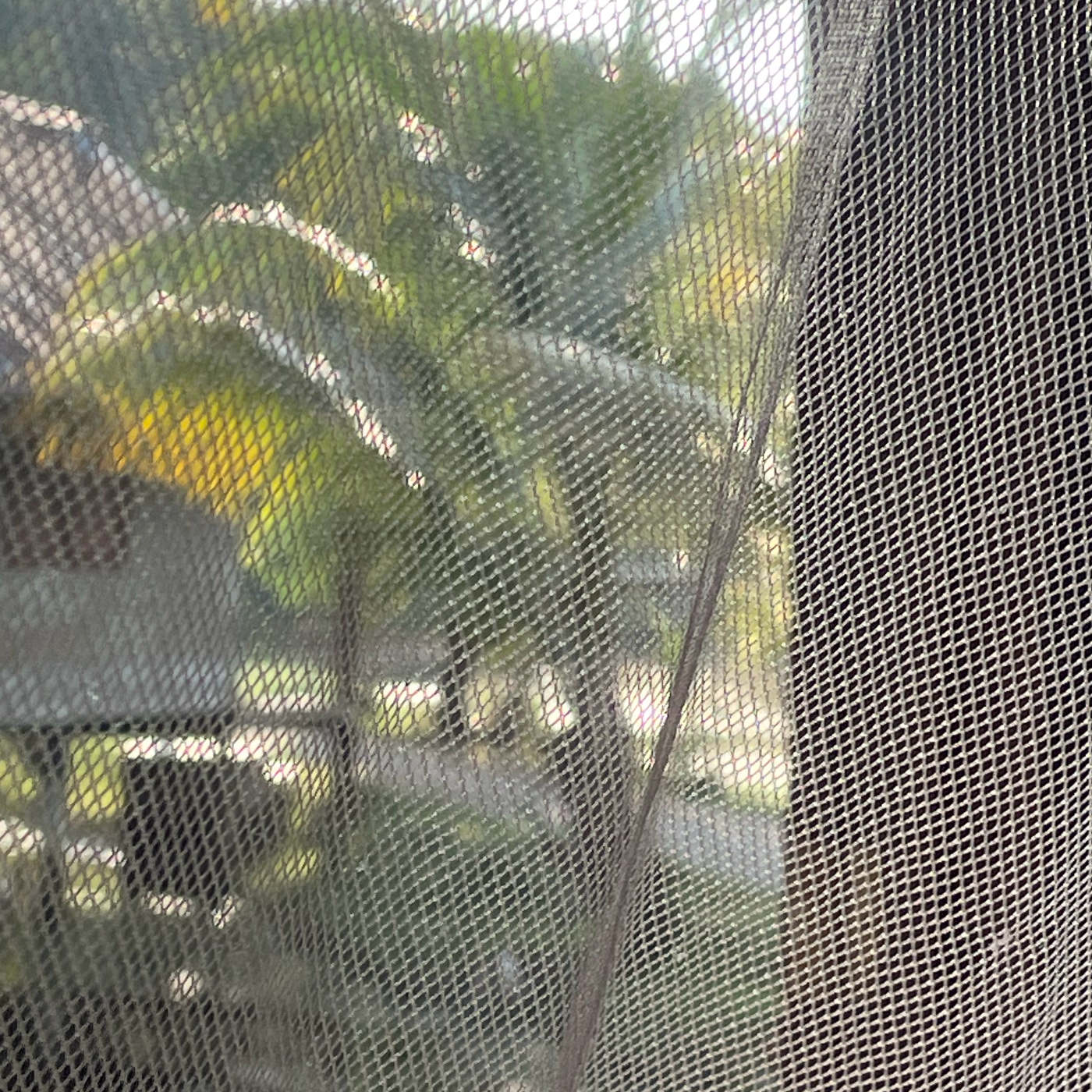 (ohne Musik) Entspannt einschlafen am Mittwoch, 15.01.25