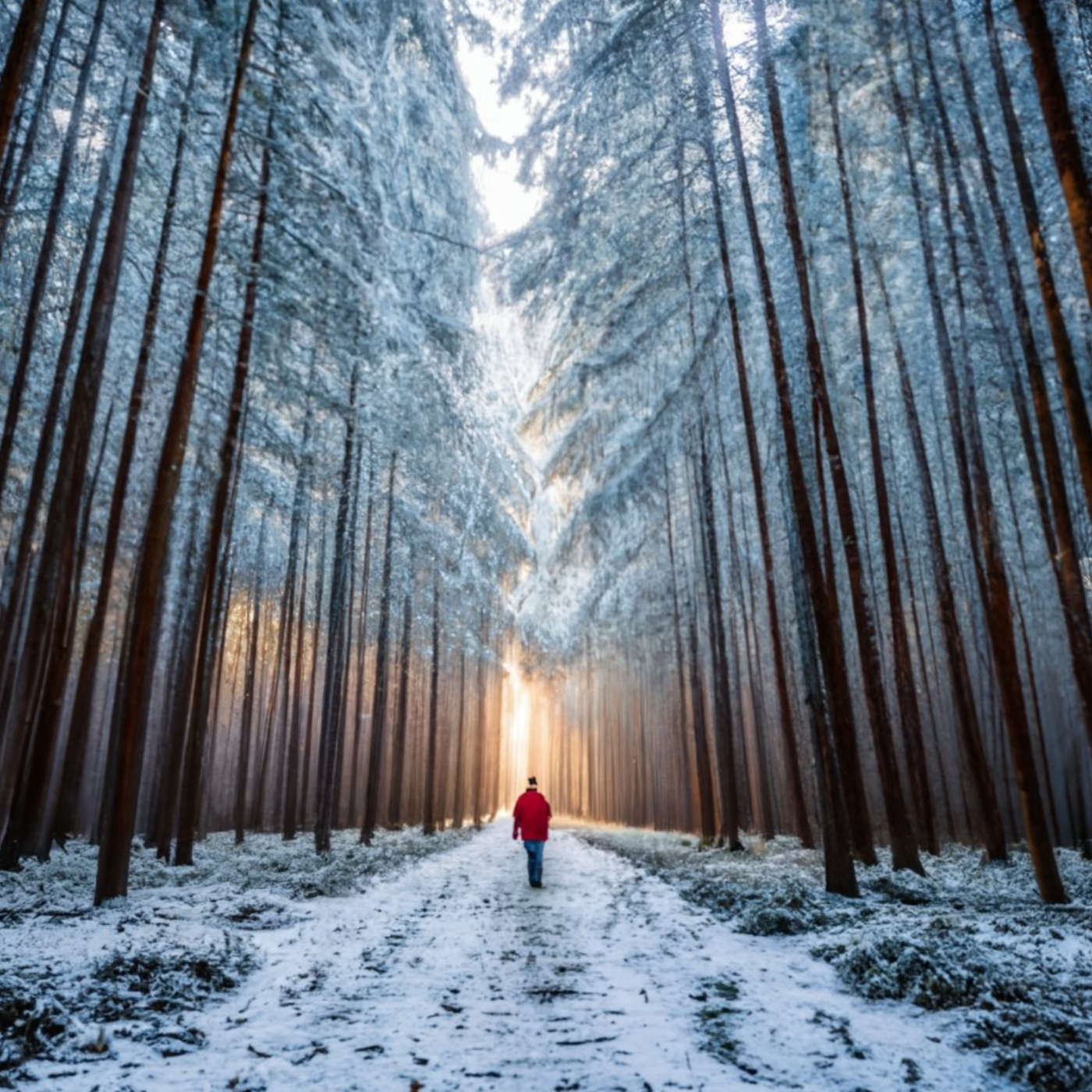 (ohne Musik) Di, 04.02. Entspannt einschlafen - Traumreise Winterzauber für die Sinne