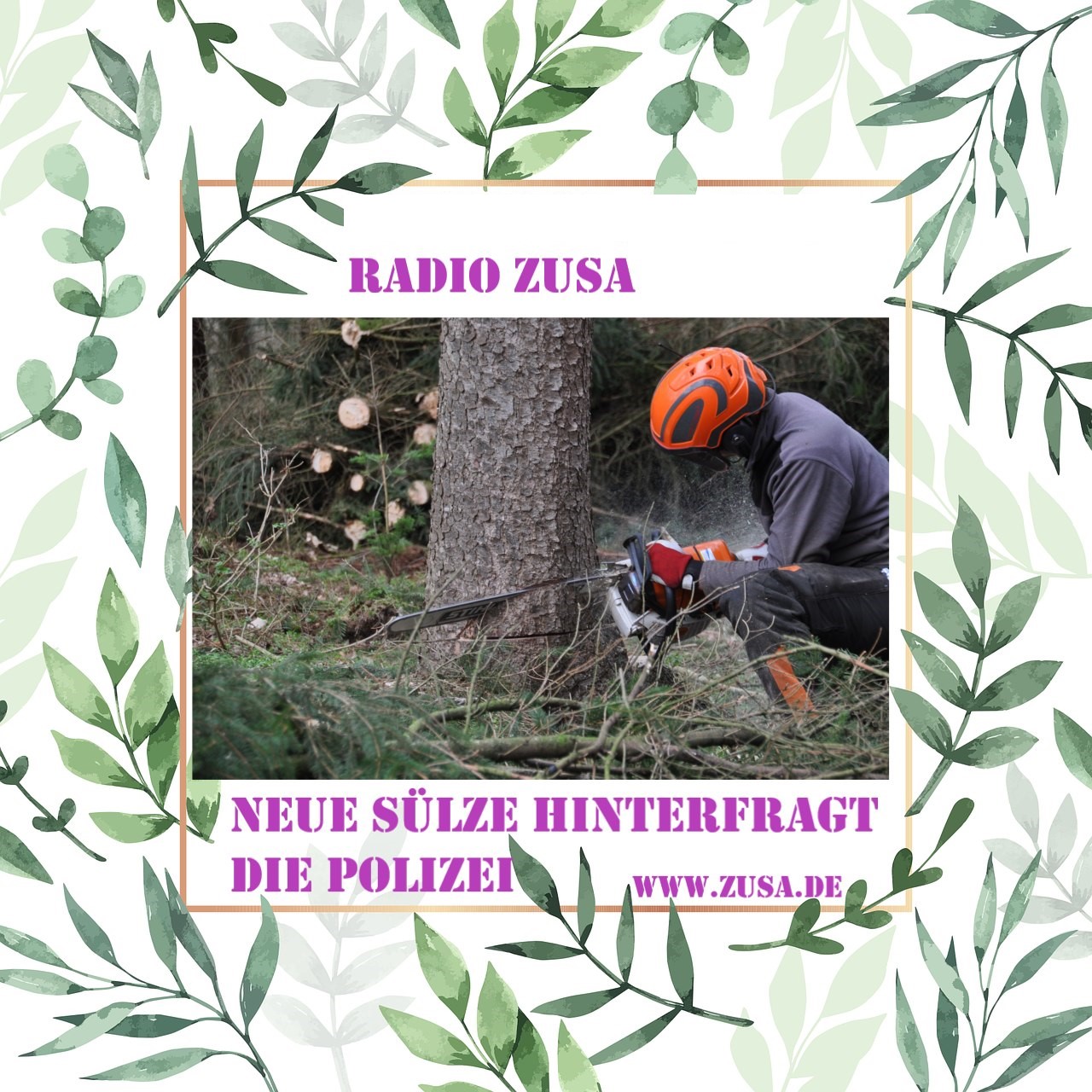 Neue Sülze hinterfragt die Polizei episode artwork