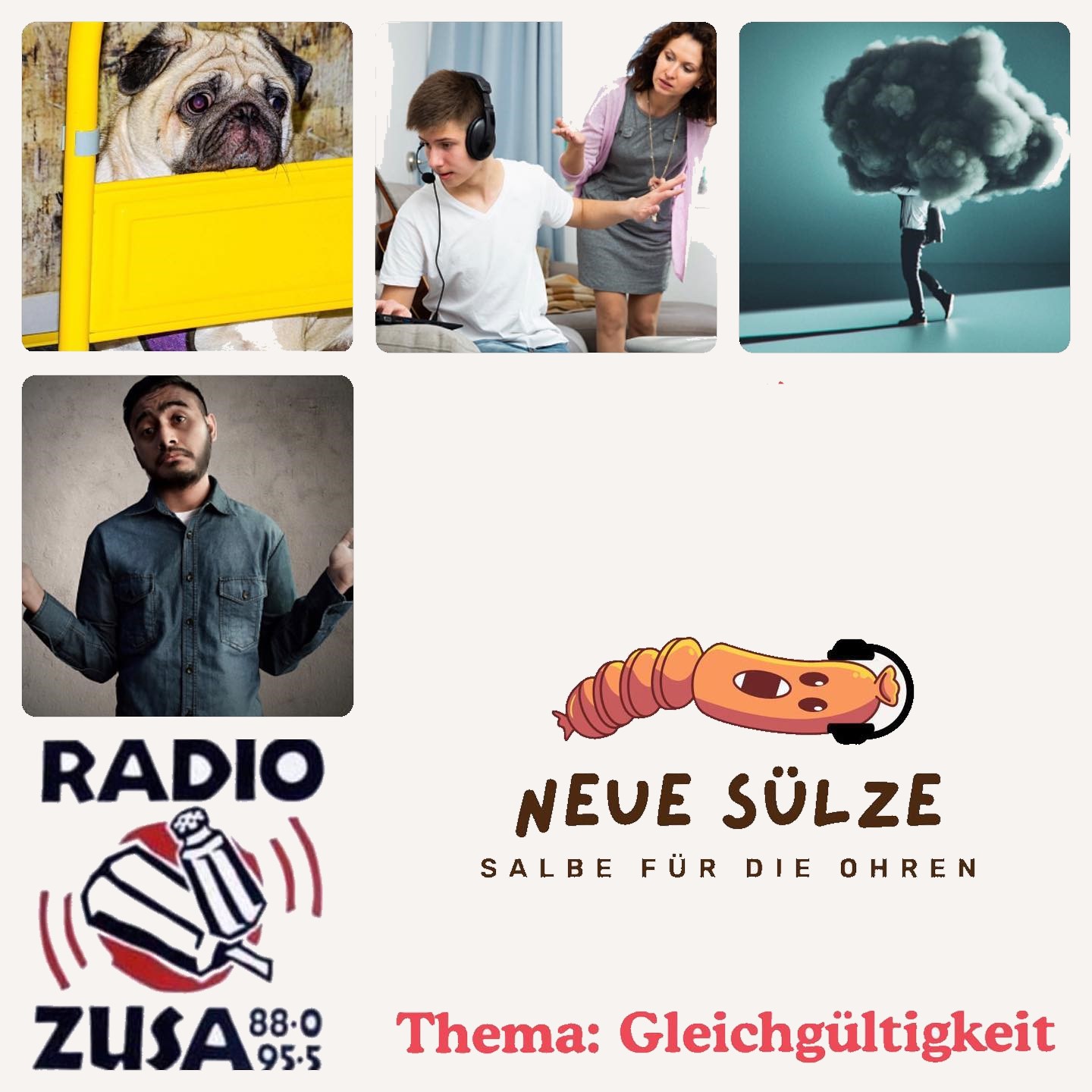 Neue Sülze - Thema: Gleichgültigkeit episode artwork
