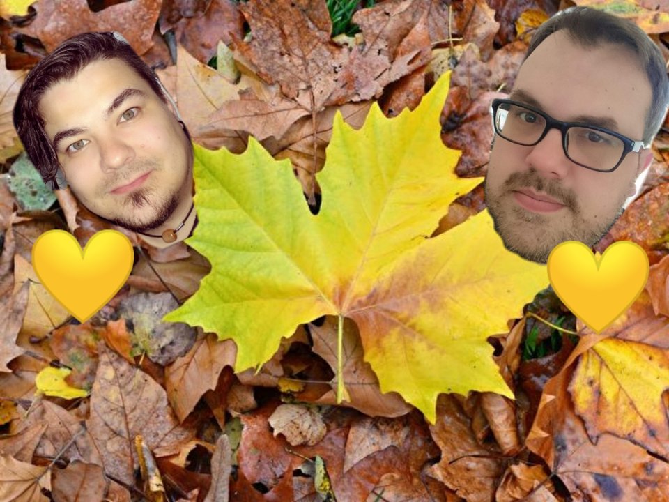 Neue Sülze vom 18.09.2019 Themensendung: Herbst episode artwork