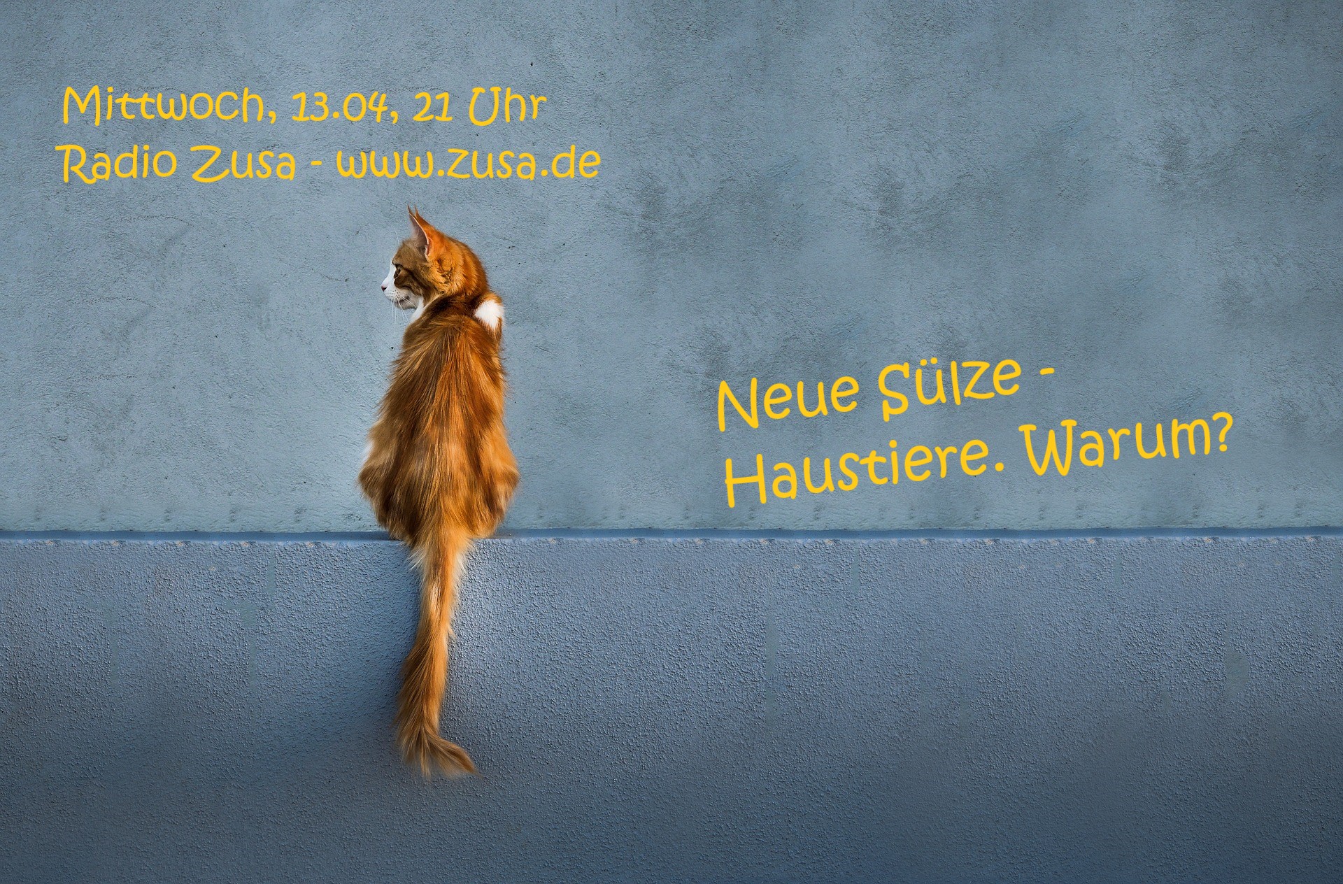 Neue Sülze - Haustiere. Warum. episode artwork
