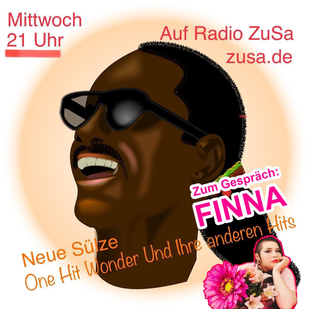 Neue Sülze - One Hit Wonder Und Ihre Anderen Hits episode artwork
