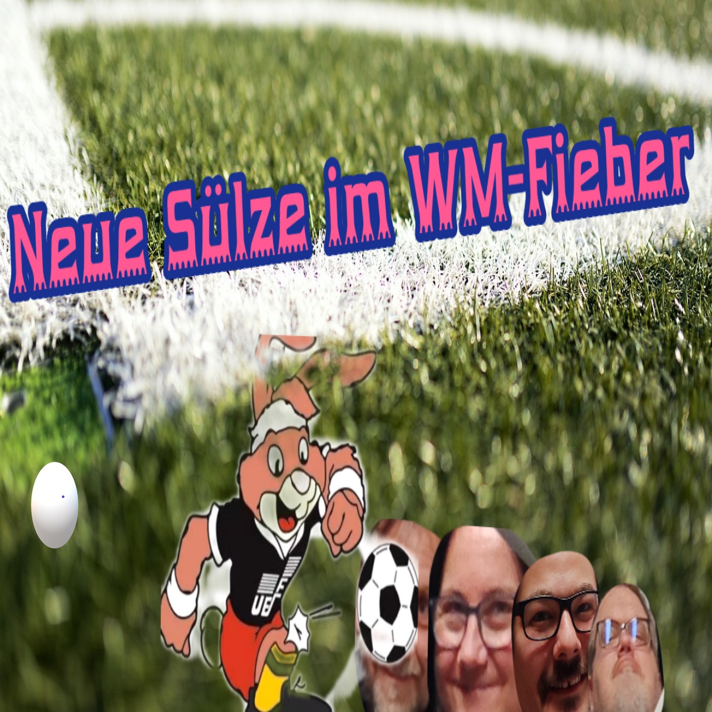 Neue Sülze im WM Fieber episode artwork