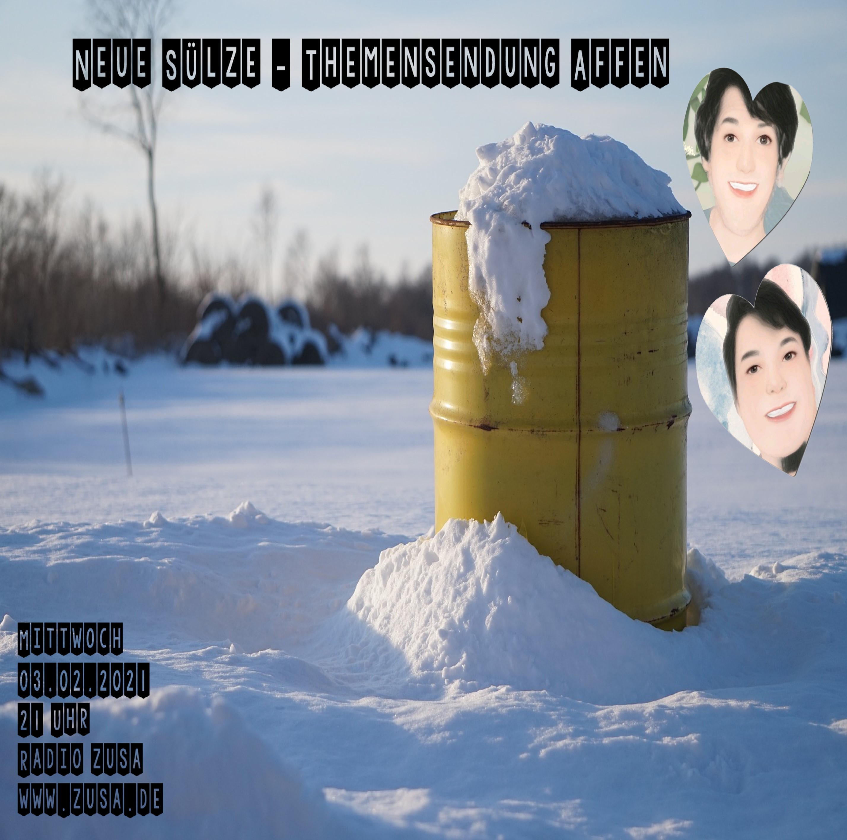 Neue Sülze Themensendung Affen episode artwork