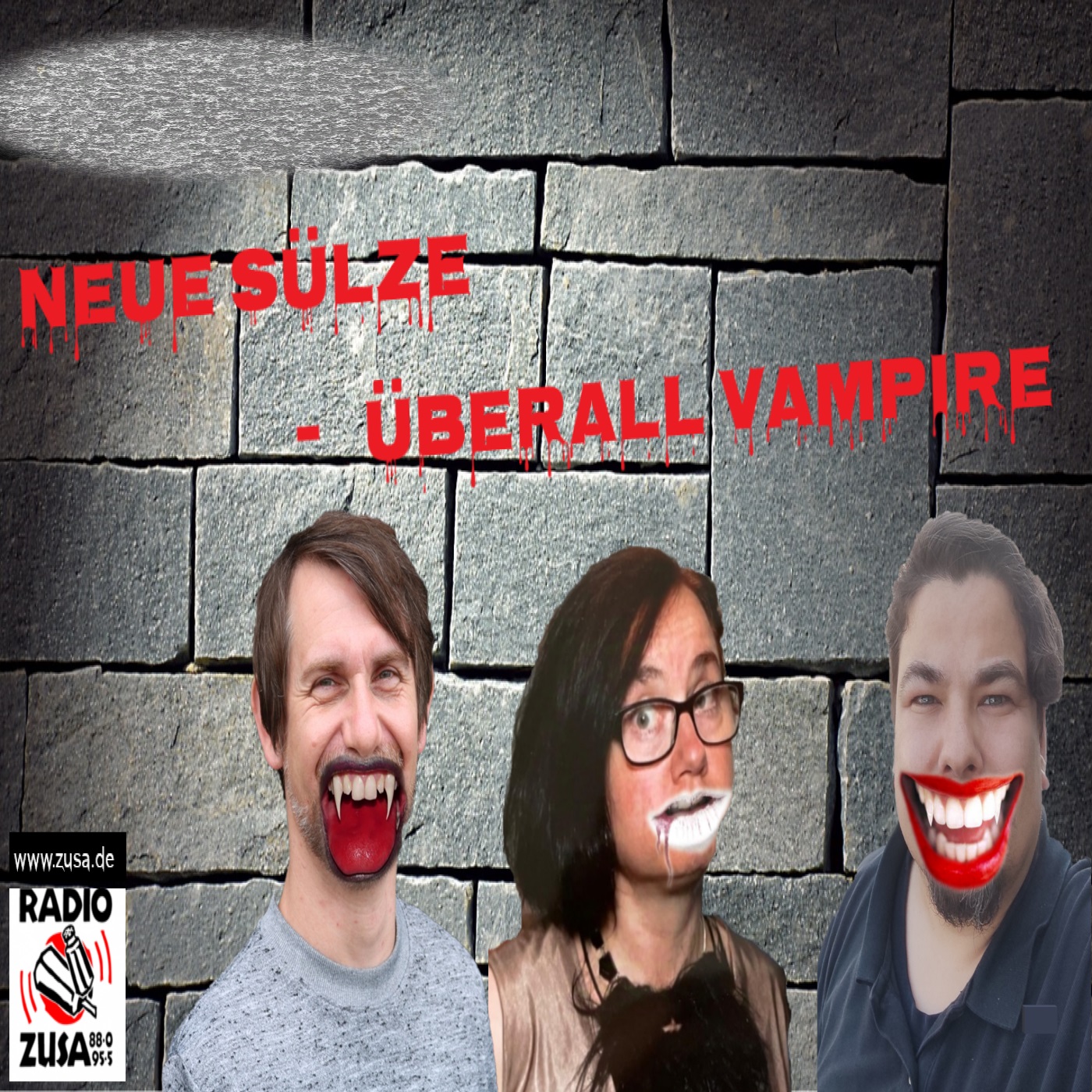 Neue Sülze - Überall Vampire episode artwork