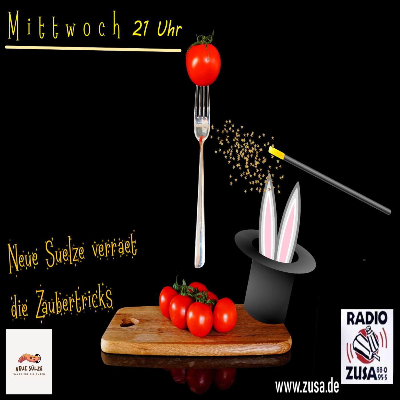 Neue Sülze verrät die Zaubertricks episode artwork