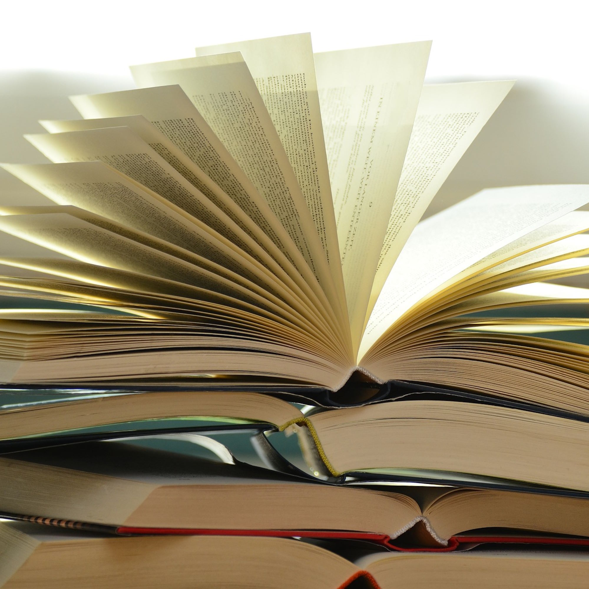 Lesen, Leben, Literatur. Folge 1: Interview mit Elisabeth Lacis episode artwork