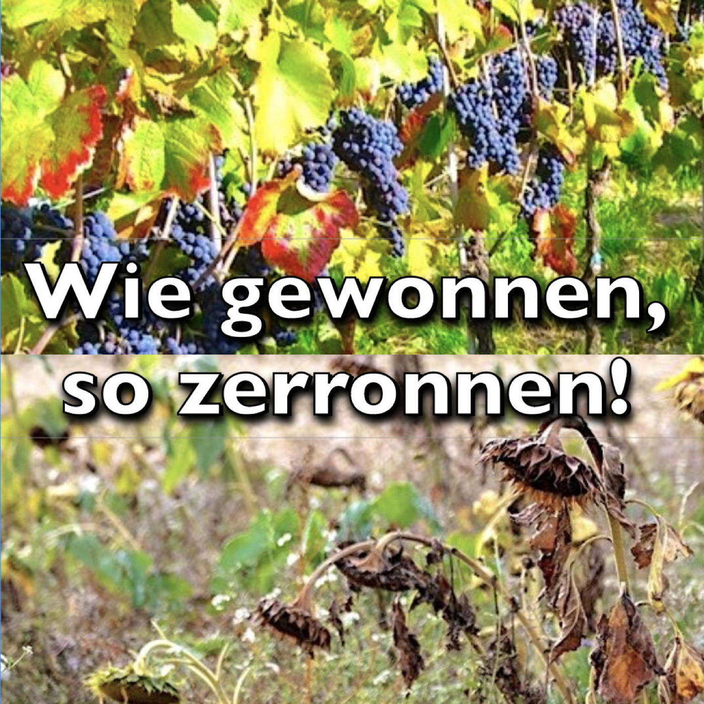 Wie alles begann 02 - Wie gewonnen so zerronnen (neu) episode artwork