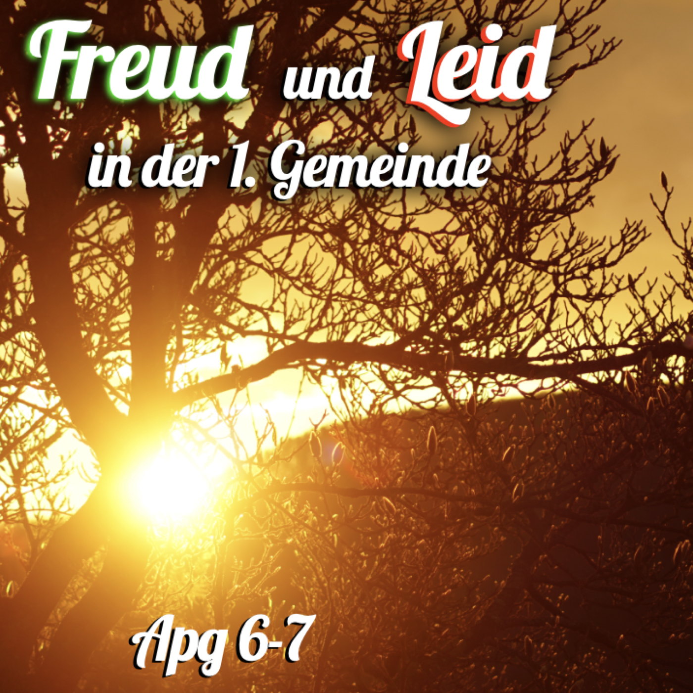 Freud und Leid in der ersten Gemeinde episode artwork