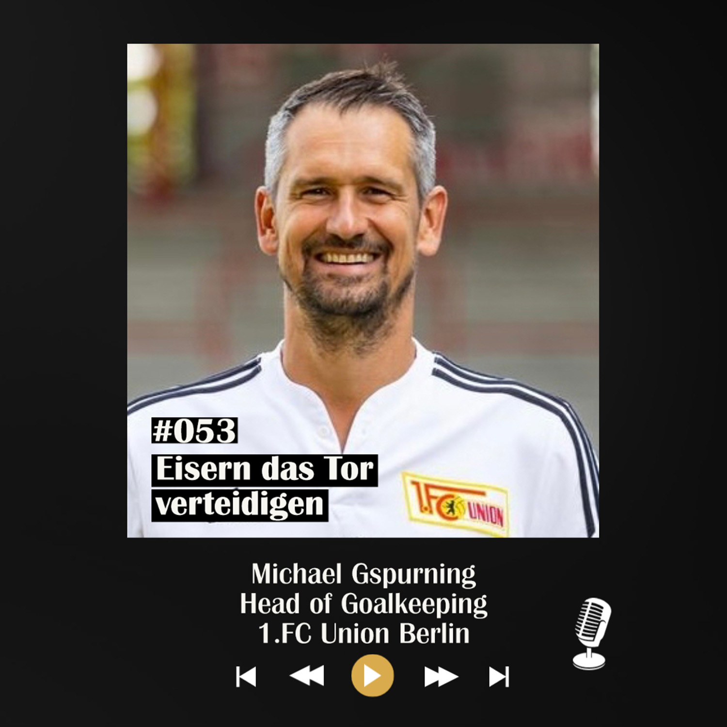 #053 Eisern das Tor verteidigen - mit Michael Gspurning episode artwork