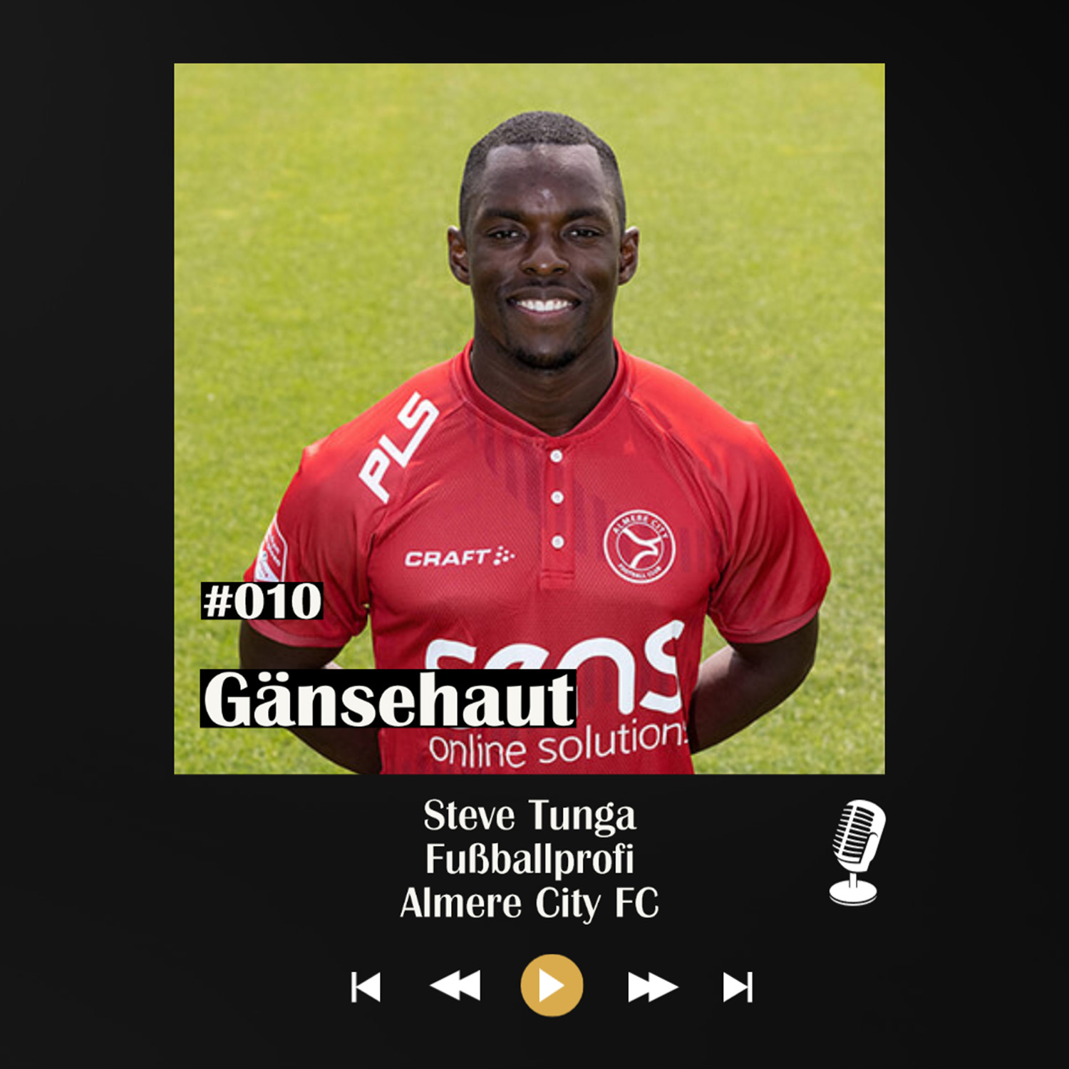 #010 Gänsehaut - mit Steve Tunga episode artwork