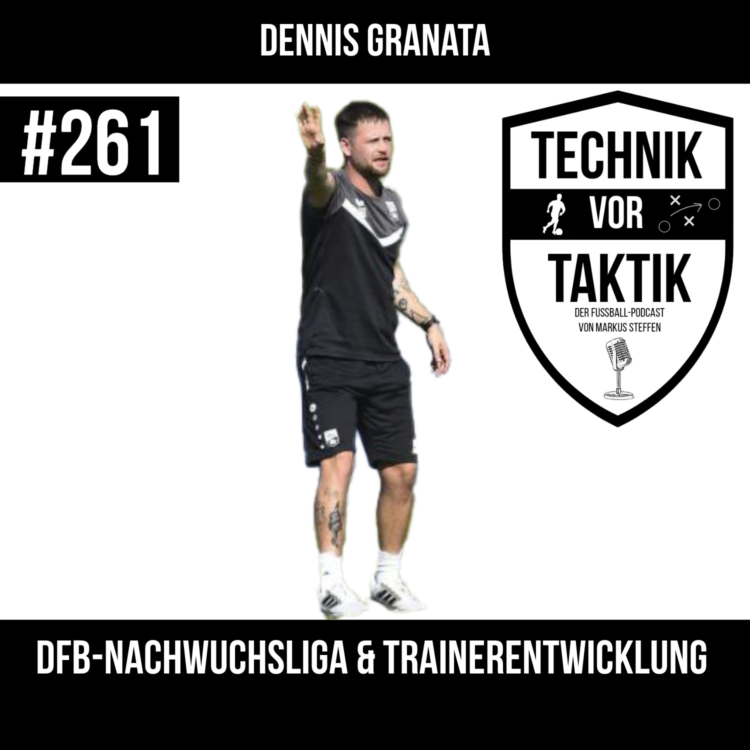 #261 DFB Nachwuchsliga & Trainerentwicklung - mit Dennis Granata episode artwork