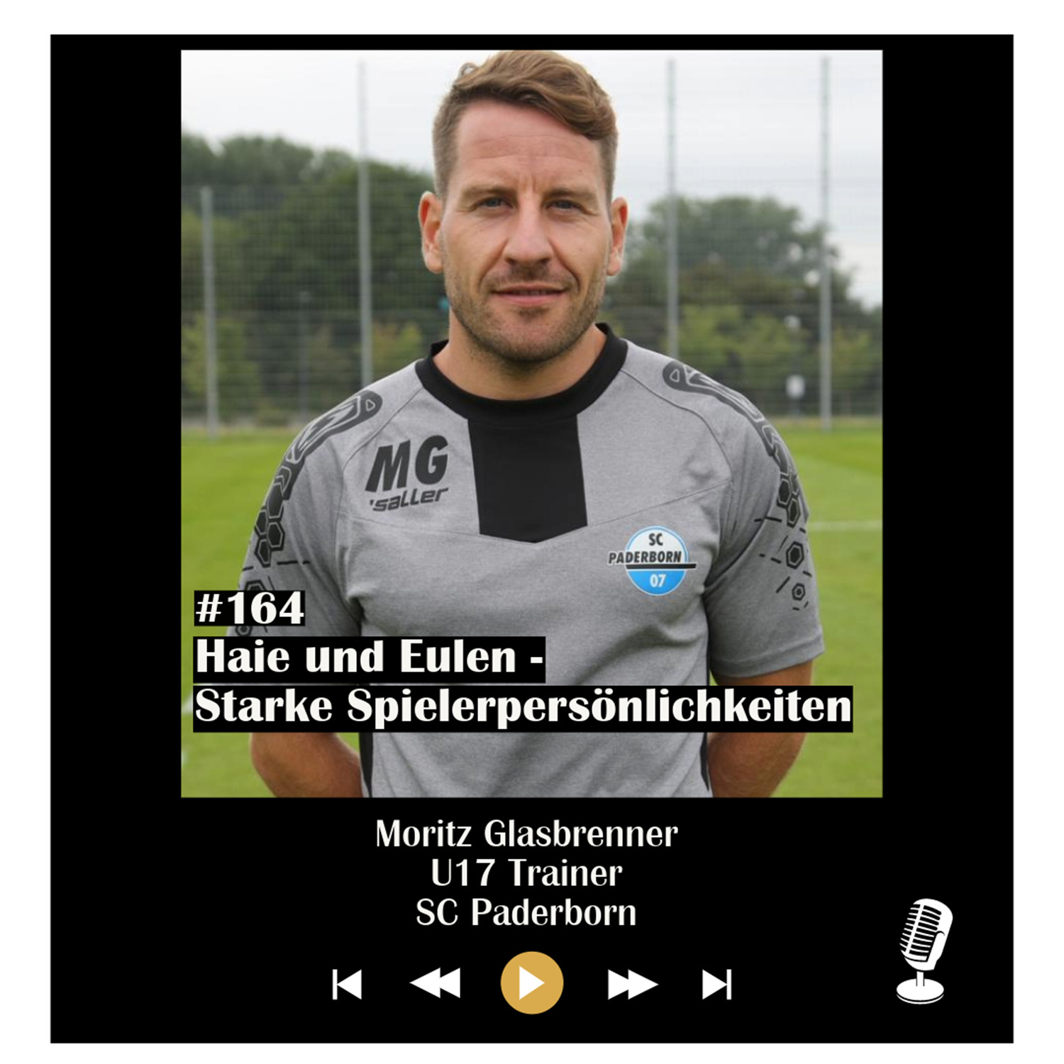 #164 Haie und Eulen - Starke Spielerpersönlichkeiten - mit Moritz Glasbrenner episode artwork