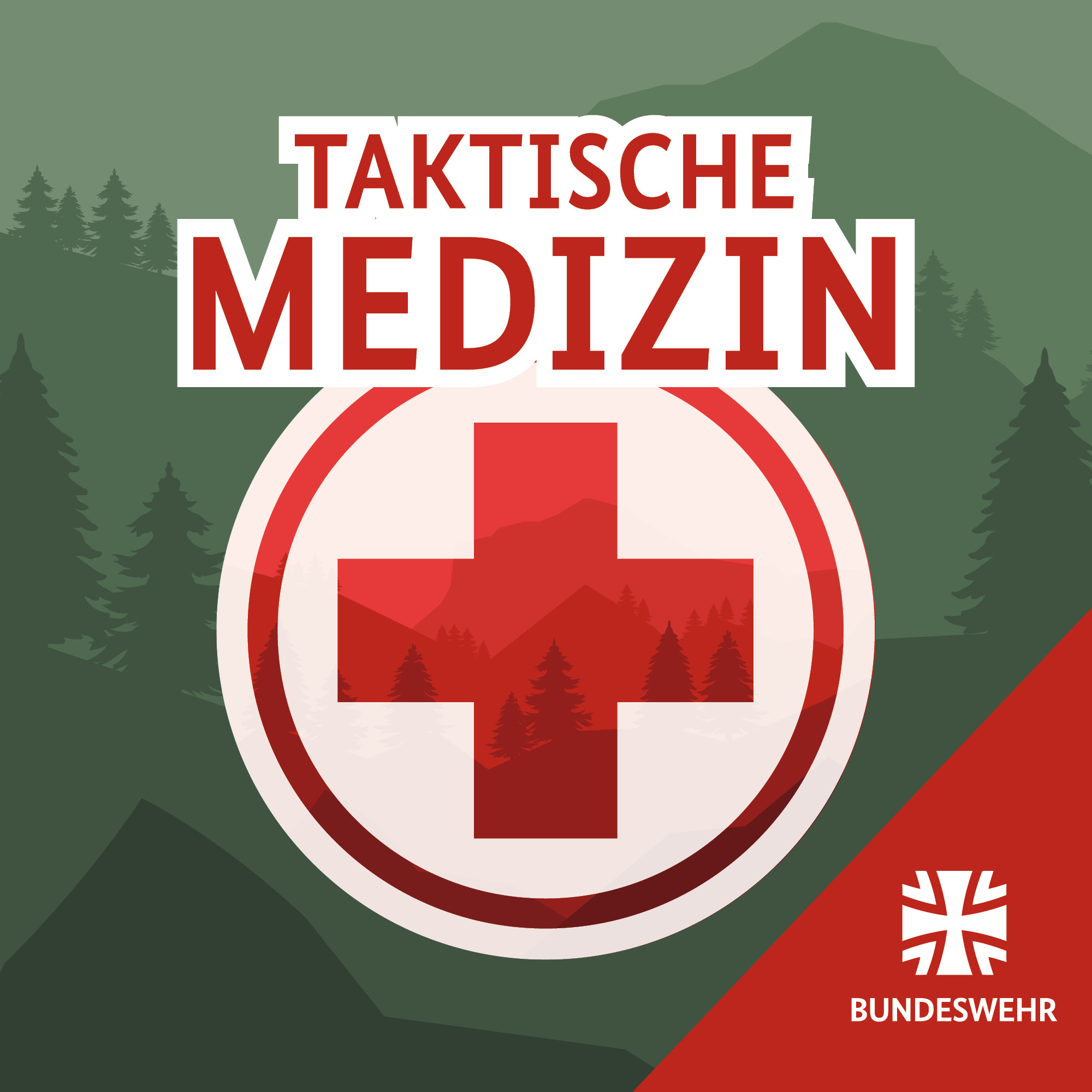 Podcast Image