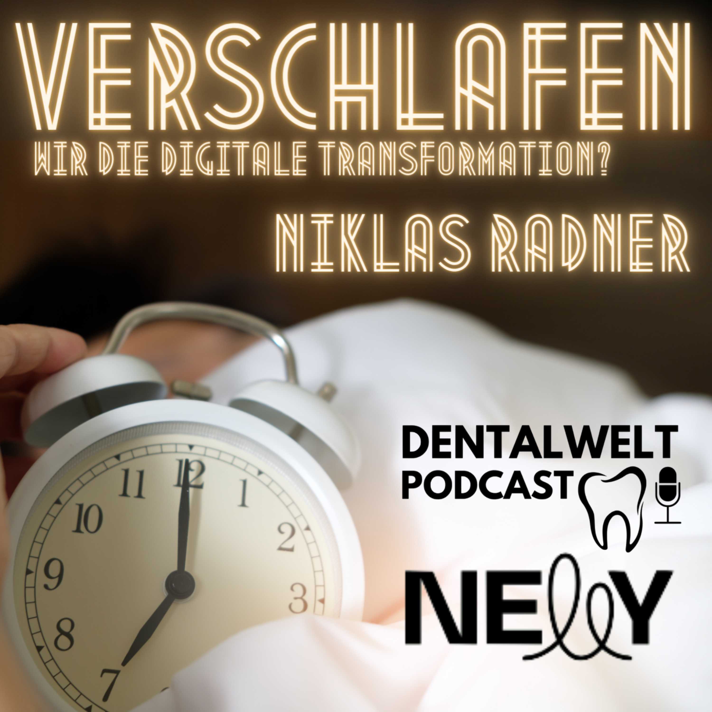 #162 Verschlafen wir die digitale transformation? - Niklas Radner episode artwork