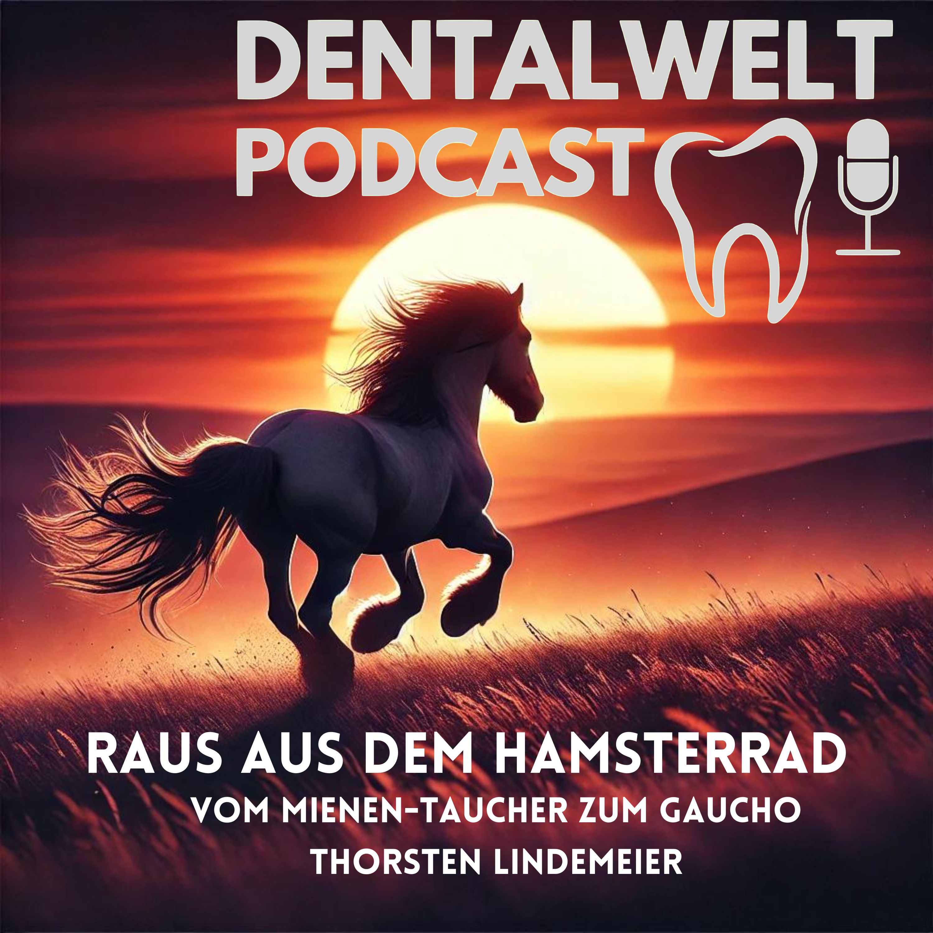 #178 Raus aus dem Hamsterrad - Vom Mienen-Taucher zum Cowboy Südamerikas episode artwork