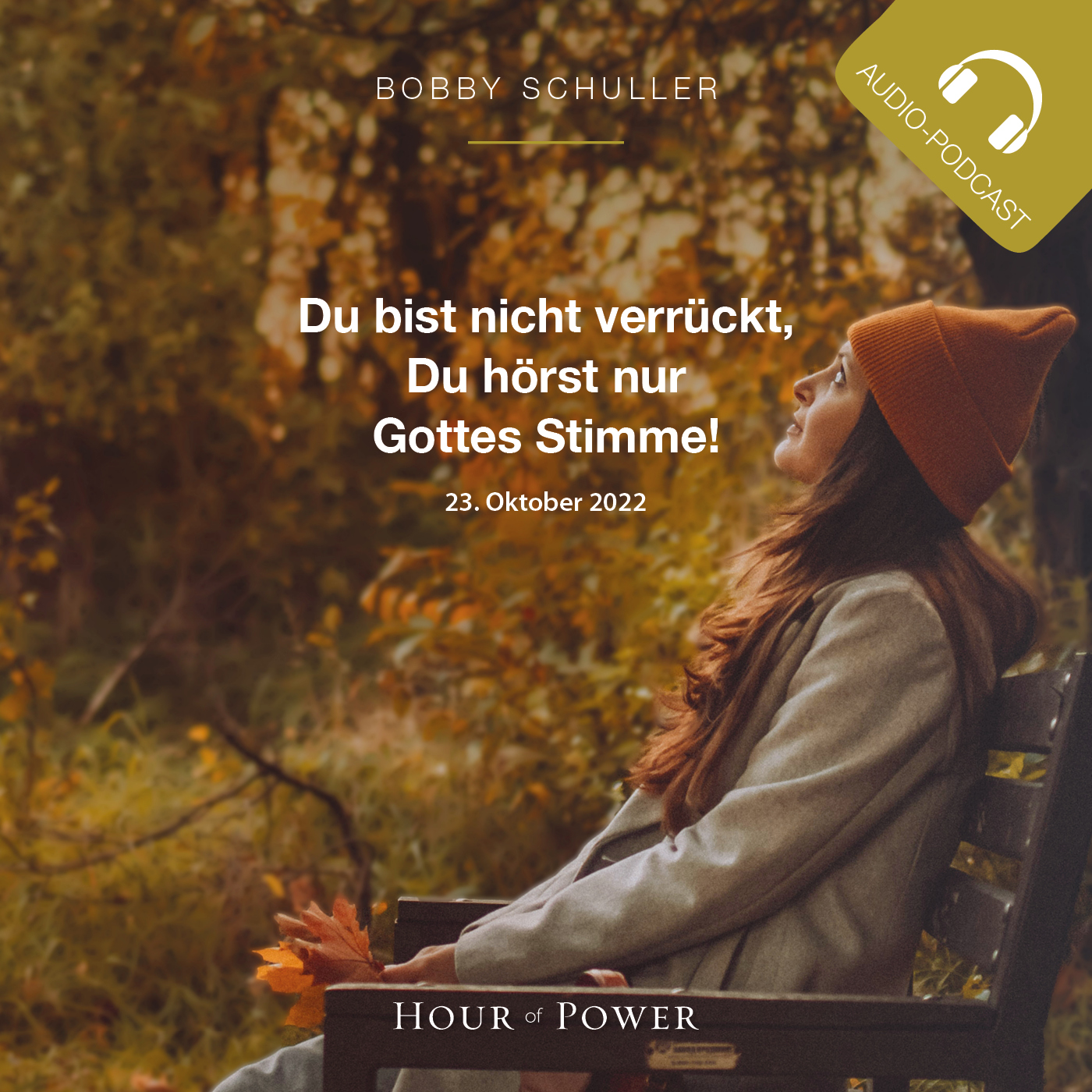 Du bist nicht verrückt, Du hörst nur Gottes Stimme! - Predigt von Bobby Schuller episode artwork