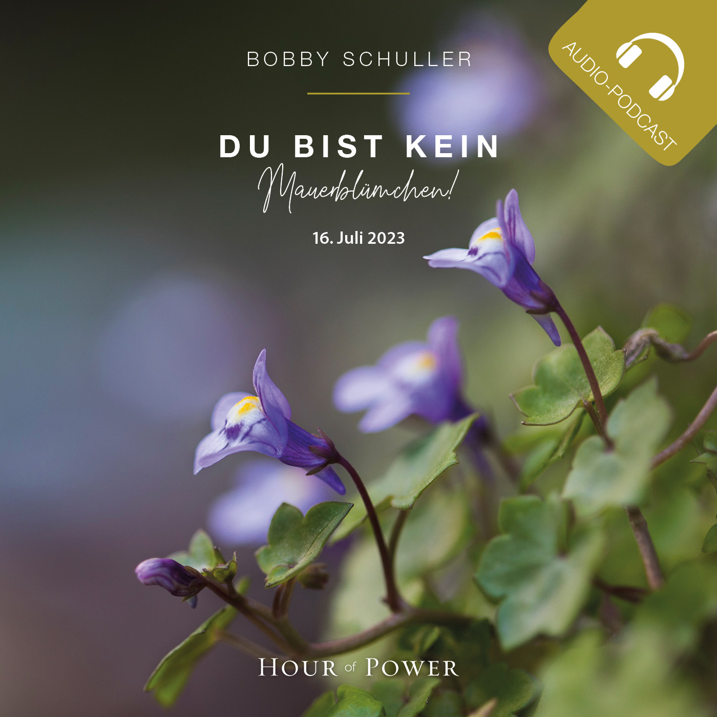 Du bist kein Mauerblümchen! - Predigt von Bobby Schuller episode artwork
