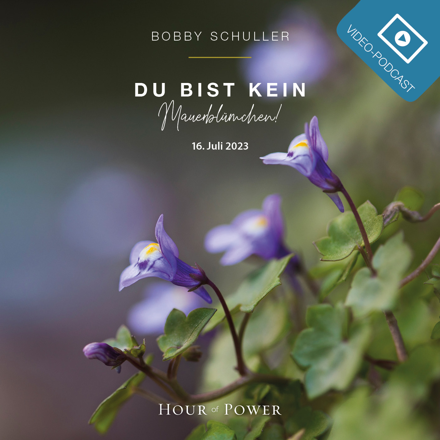 Du bist kein Mauerblümchen! - Predigt von Bobby Schuller episode artwork