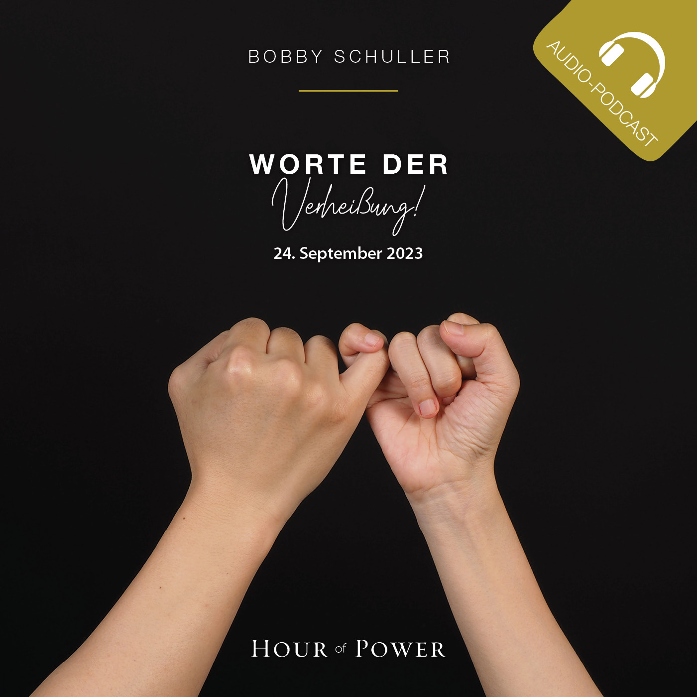 Worte der Verheißung! - Predigt von Bobby Schuller episode artwork