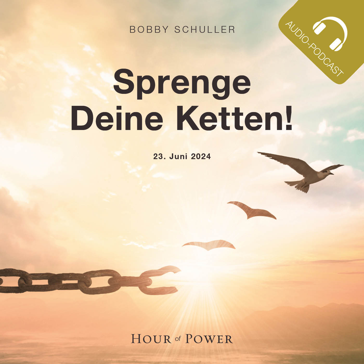 Sprenge Deine Ketten! - Predigt von Bobby Schuller episode artwork