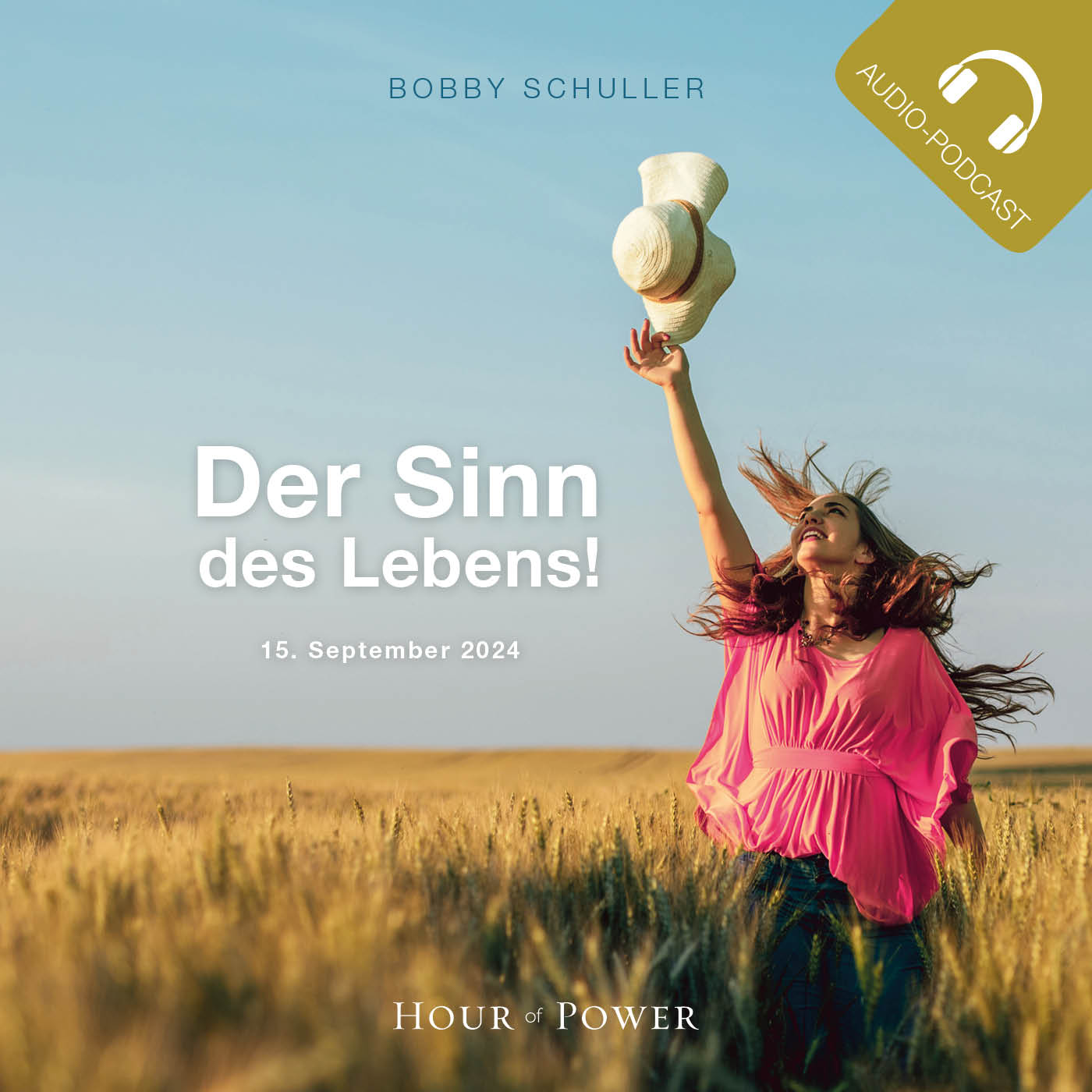 Der Sinn des Lebens! - Predigt von Bobby Schuller episode artwork